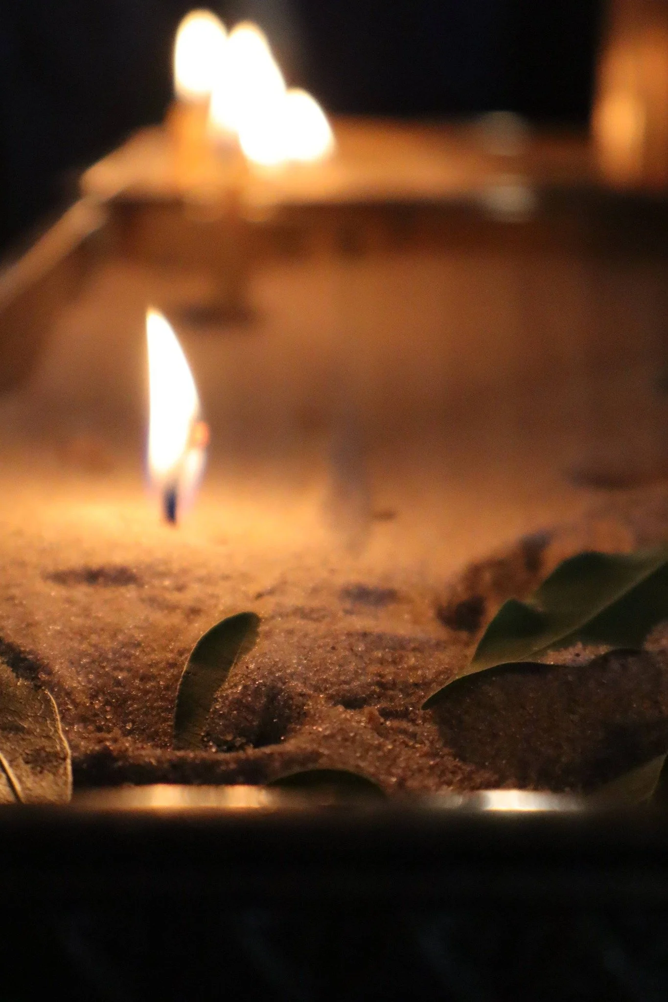 2026 Holy Week 118.jpg