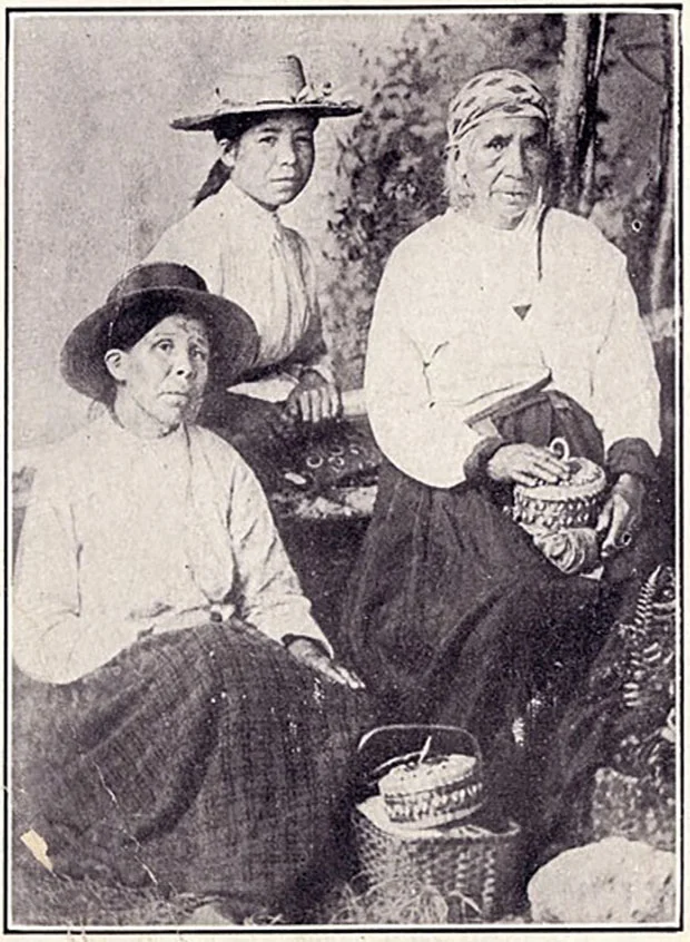 Three Mi'kmaq women holding woodsplint baskets" ca. 1890