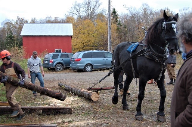 ECOLOGICAL FORESTRY