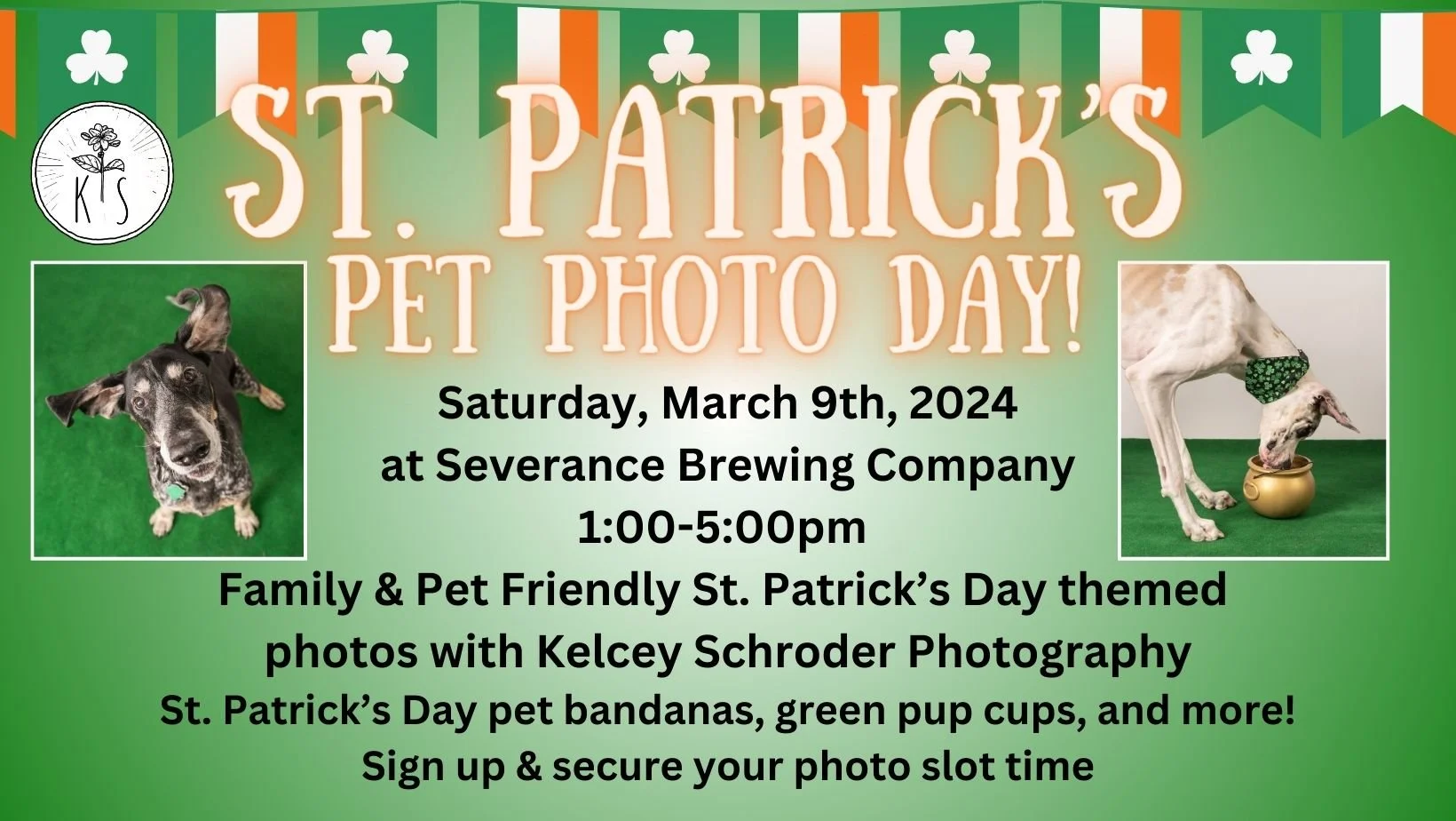 St. Patrick's Pet Photo Day with Kelcey Schroder Photography🍀