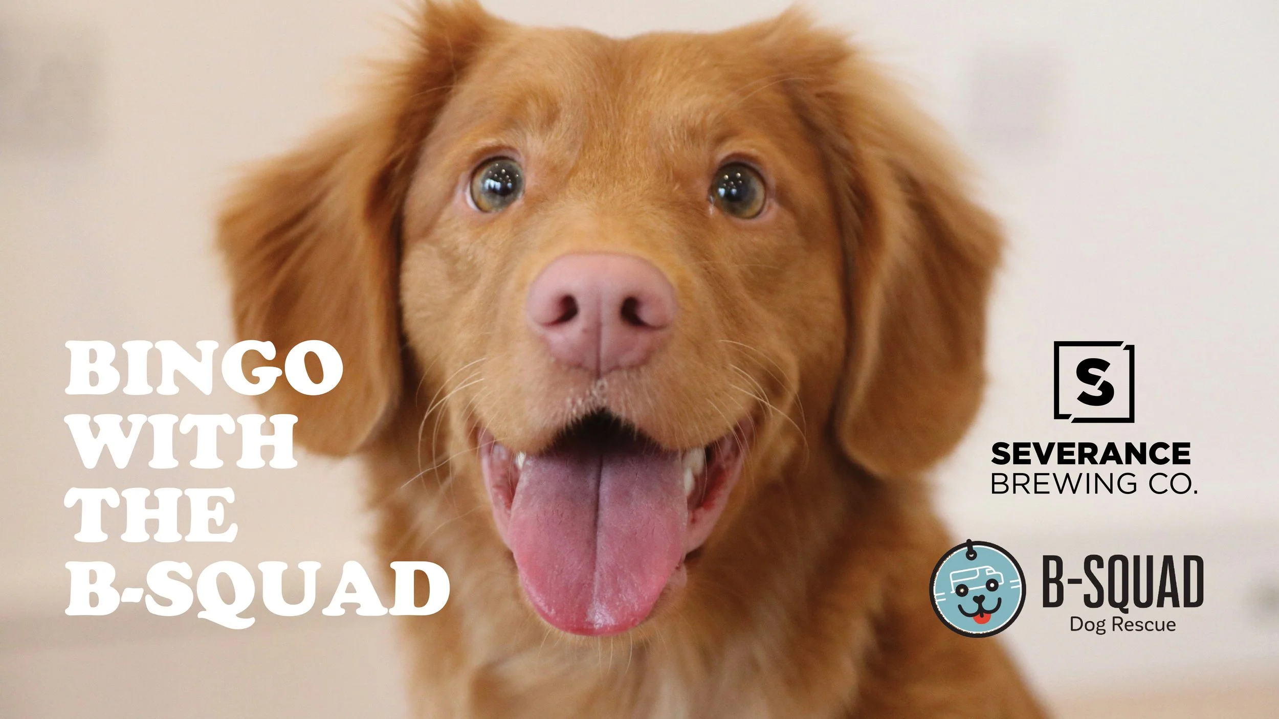 Bingo with B-Squad Dog Rescue
