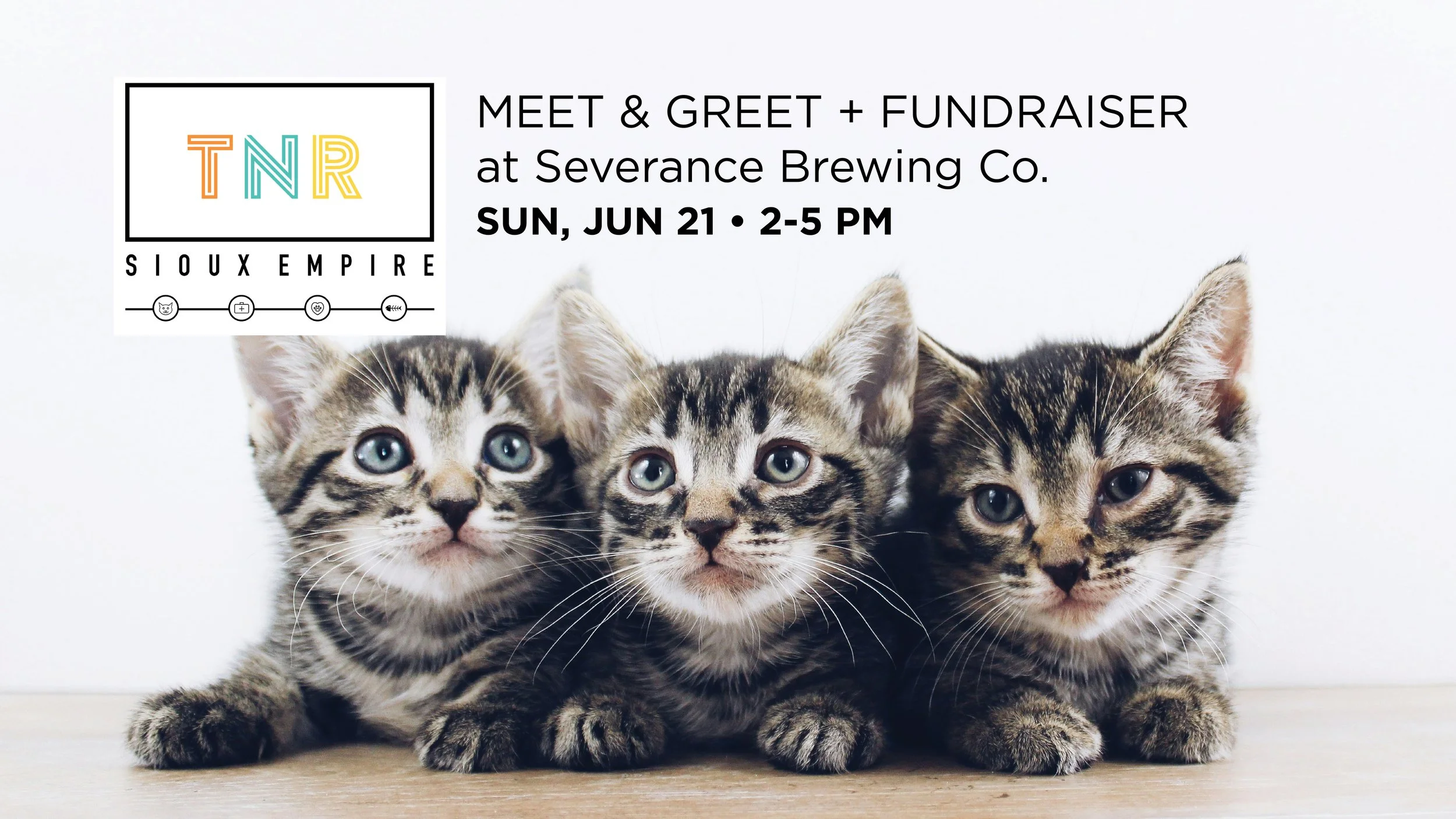 TNR Give Back Event + Kitten Meet & Greet