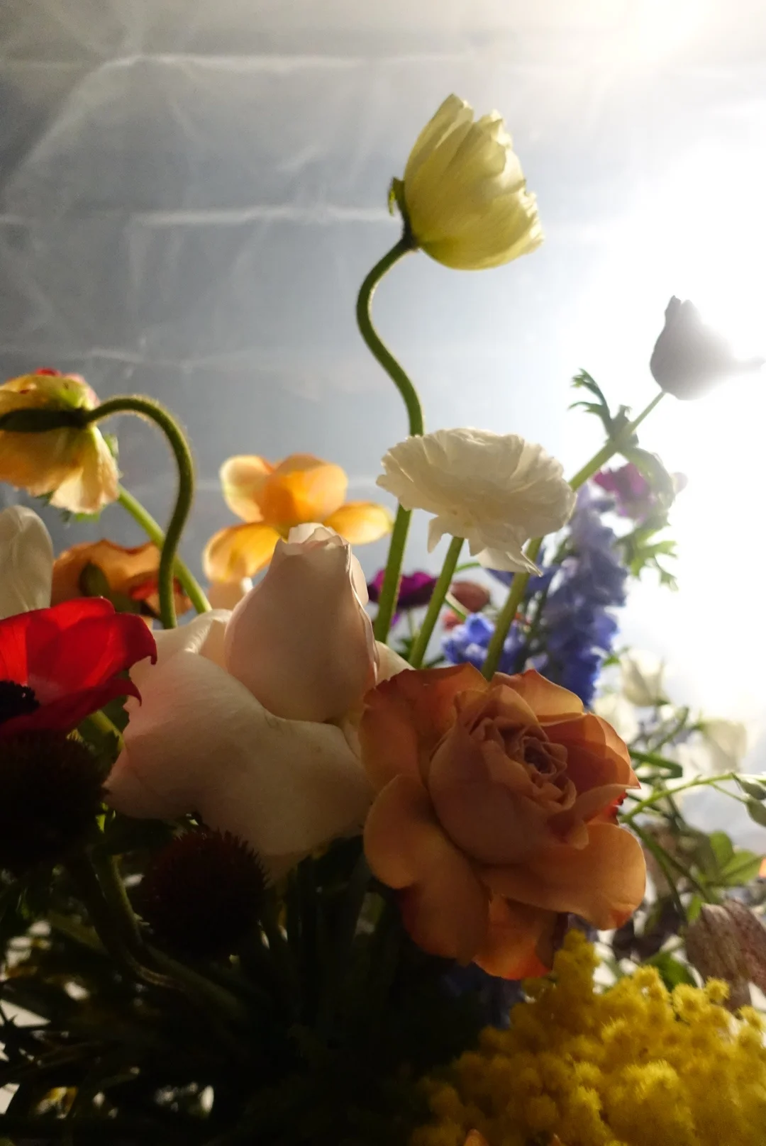 Director of Photography Eoin Mcloughlin