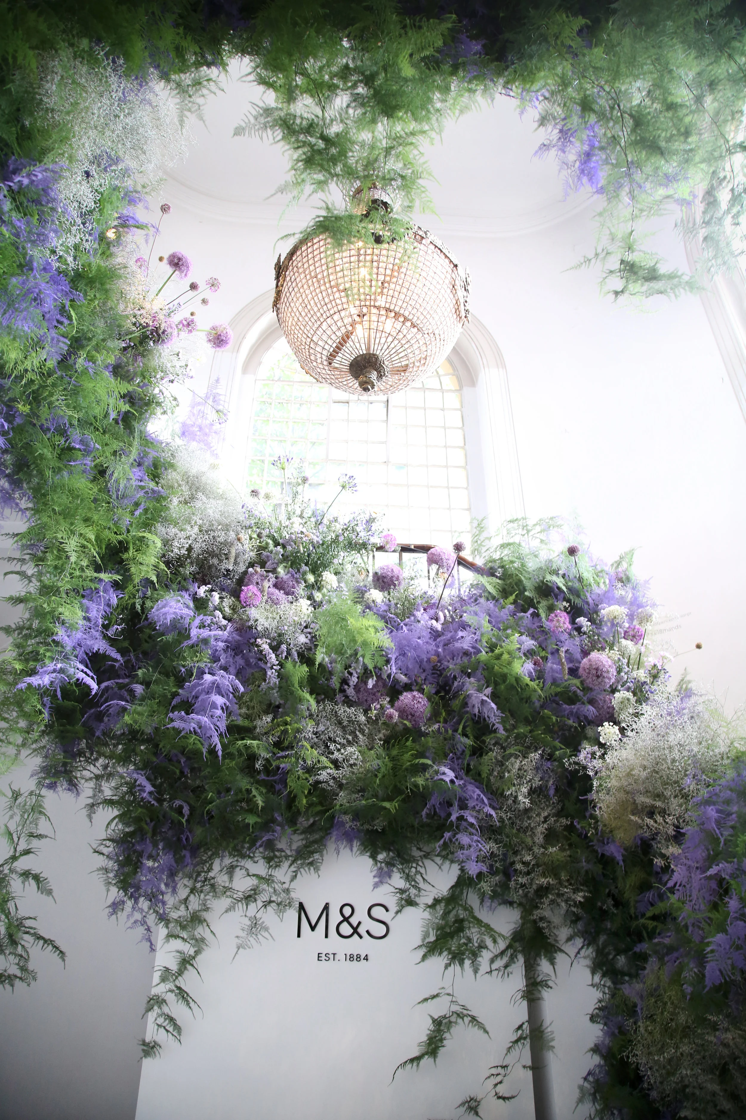 Photography picturerex