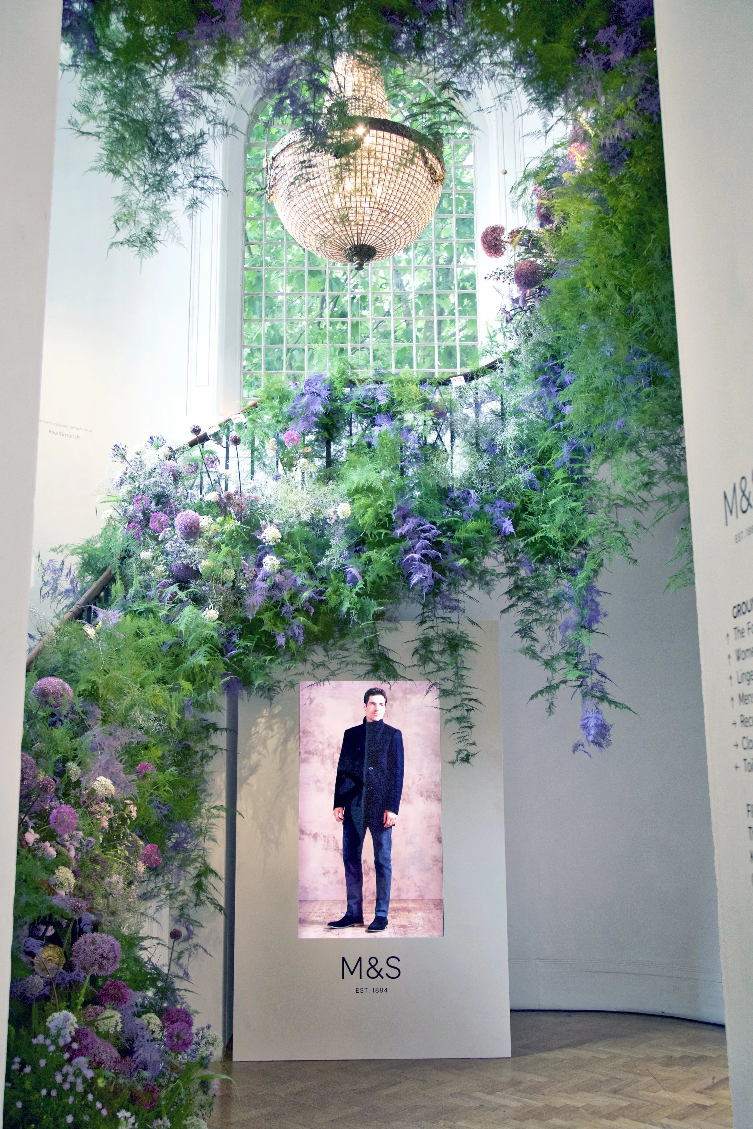 Photography picturerex