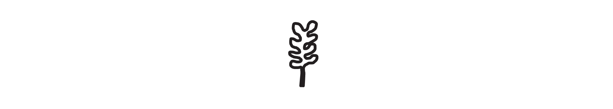 Squiggle-xtra-wide.png