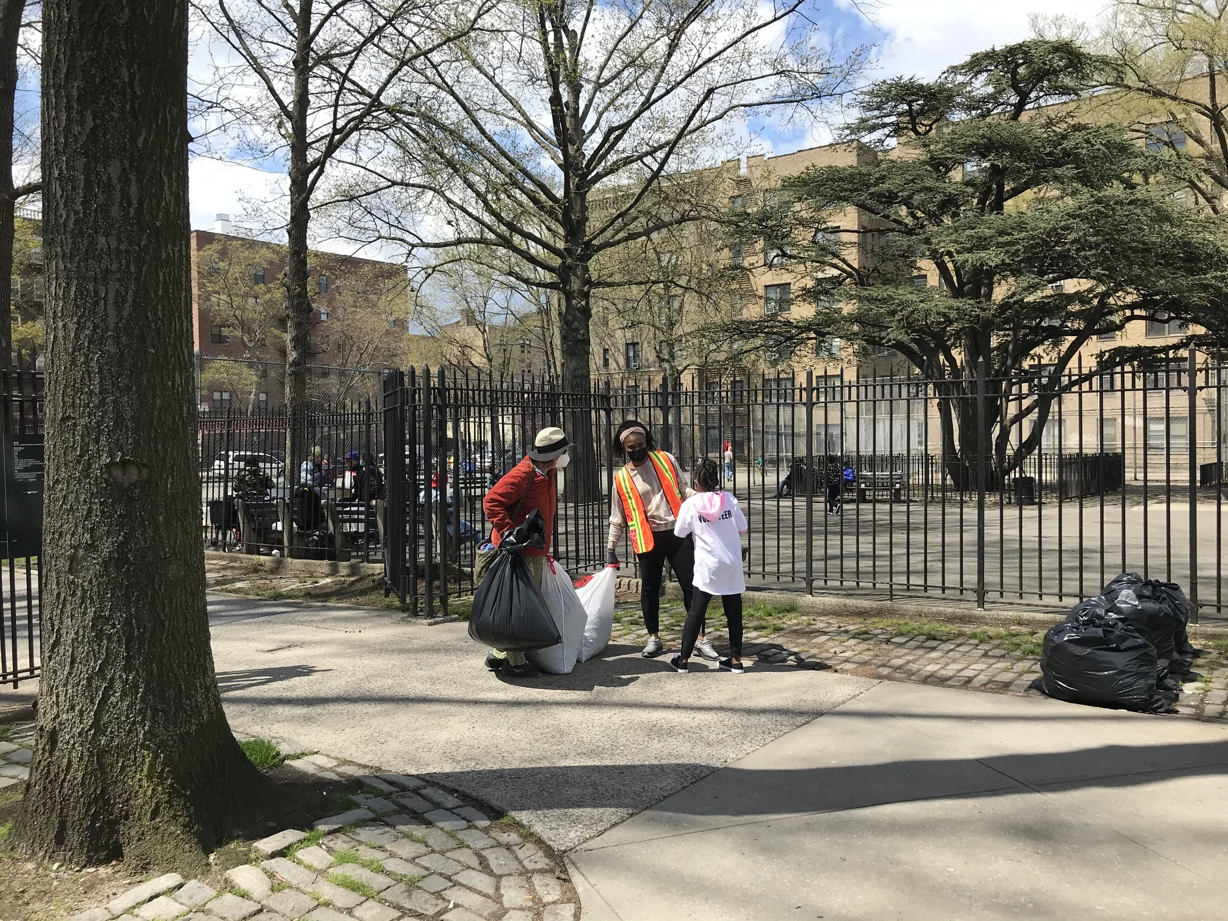 04182021-Weeping Beech-Heng-gil Han-08-abuela-neighborhood-maintenance.jpeg