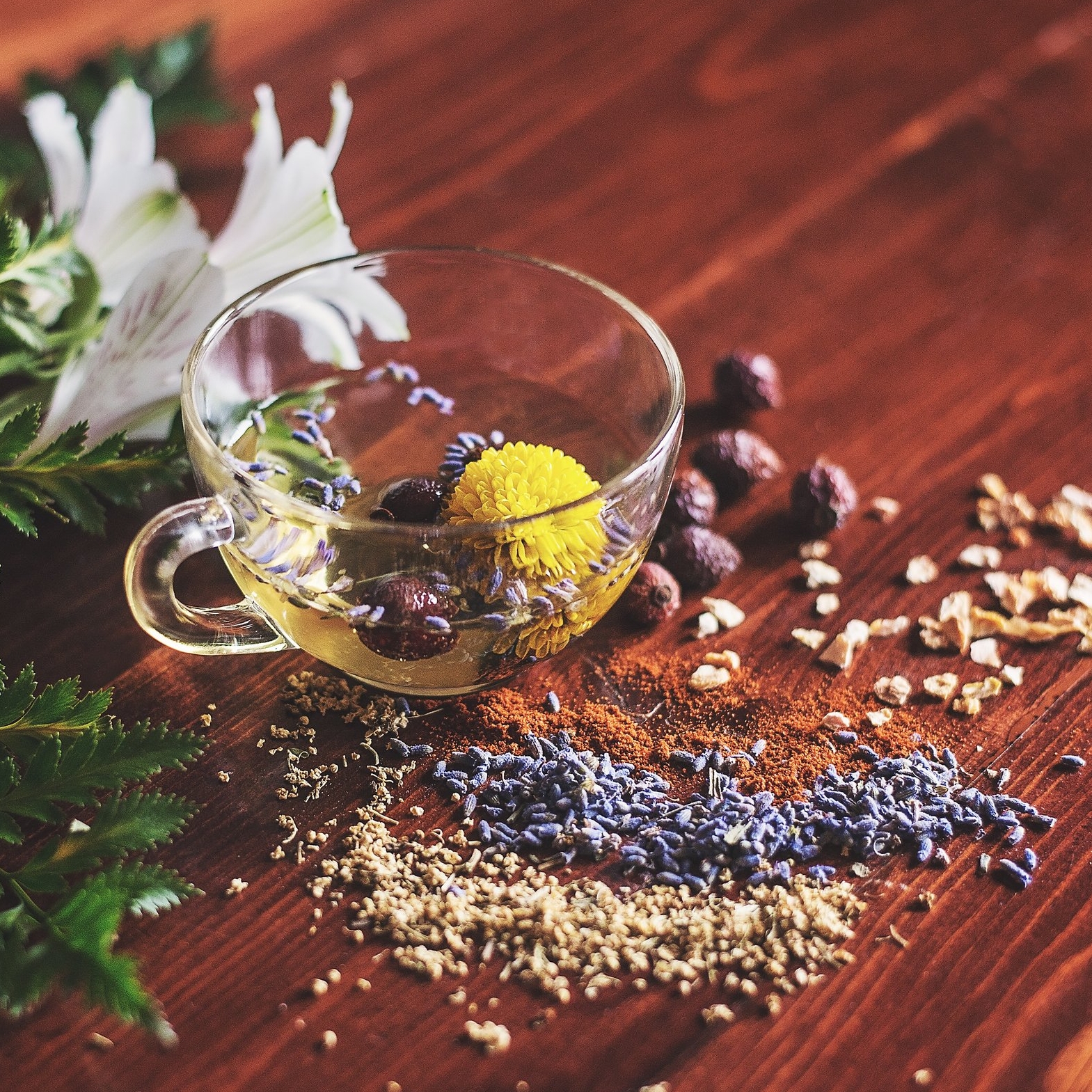 ayurveda.jpg