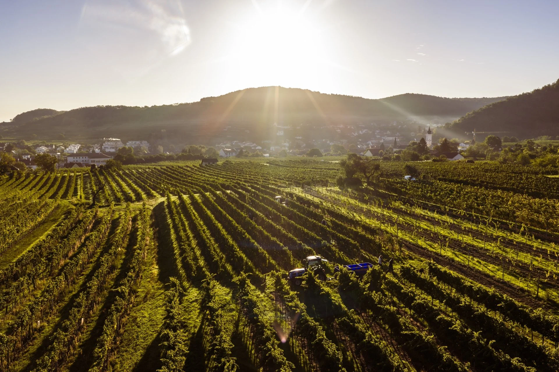 herbst-DJI_20260926075634_0214_D.jpg