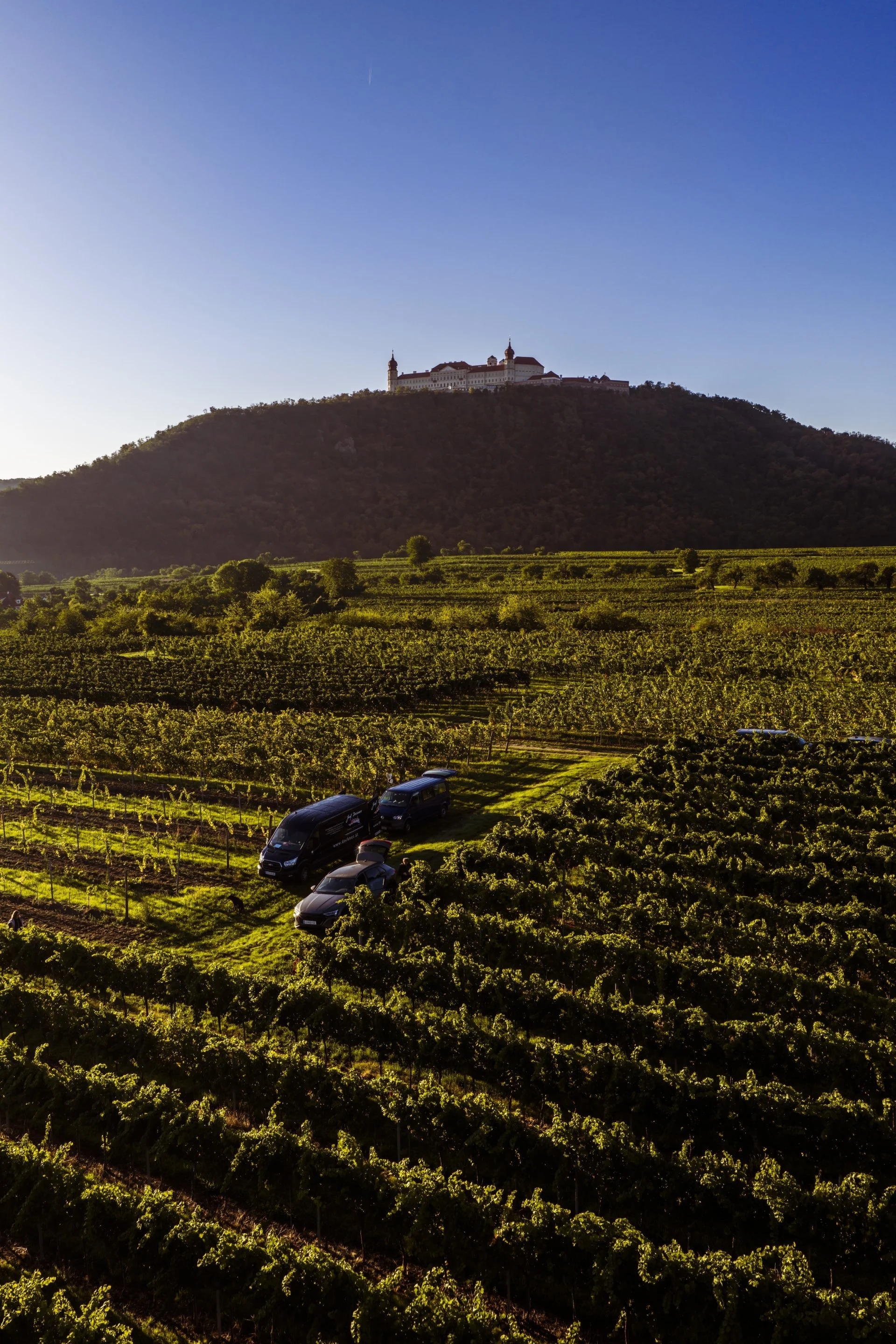 WEINJAHR 2026 IM ÜBERBLICK