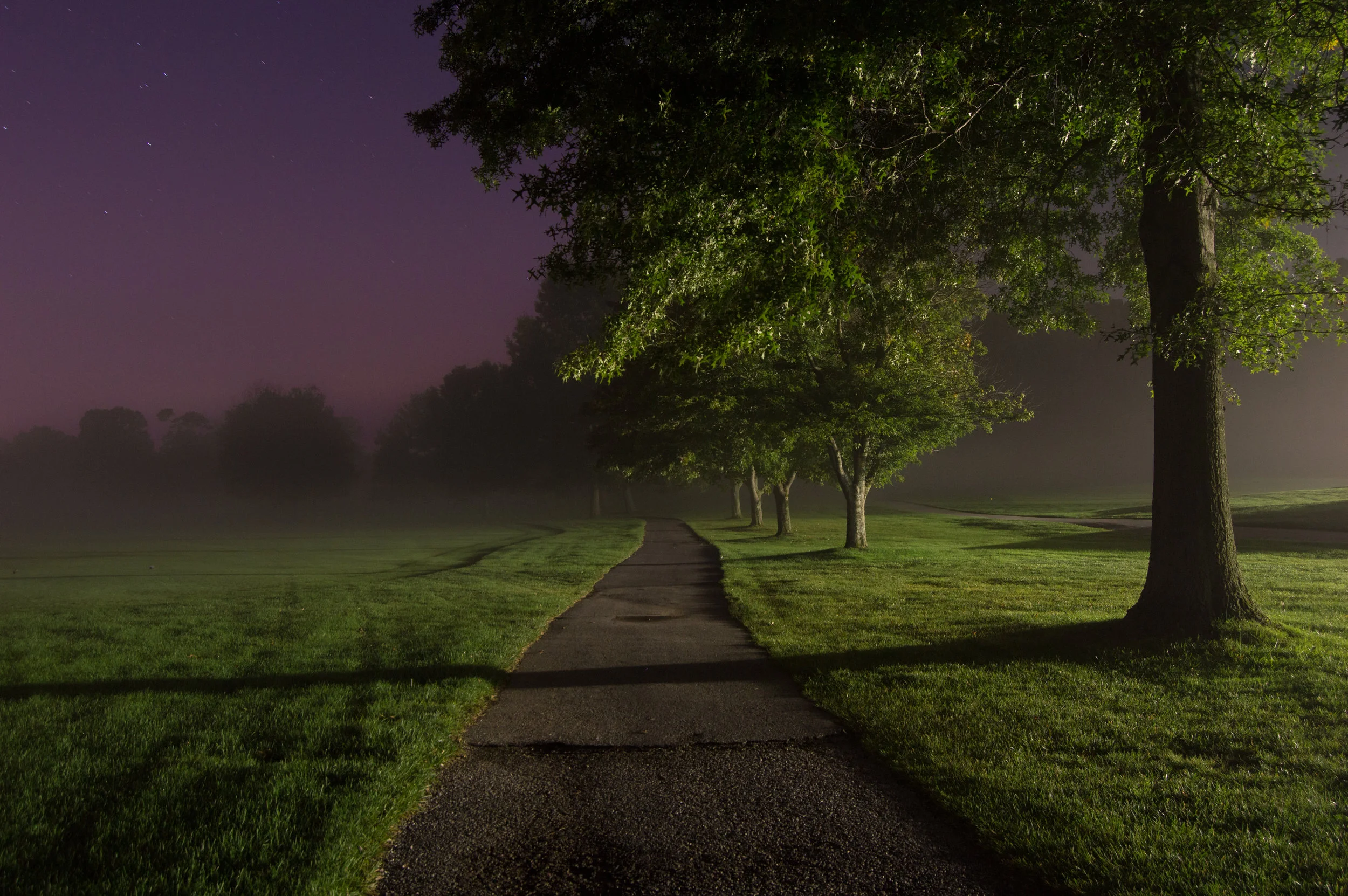 Down the Path