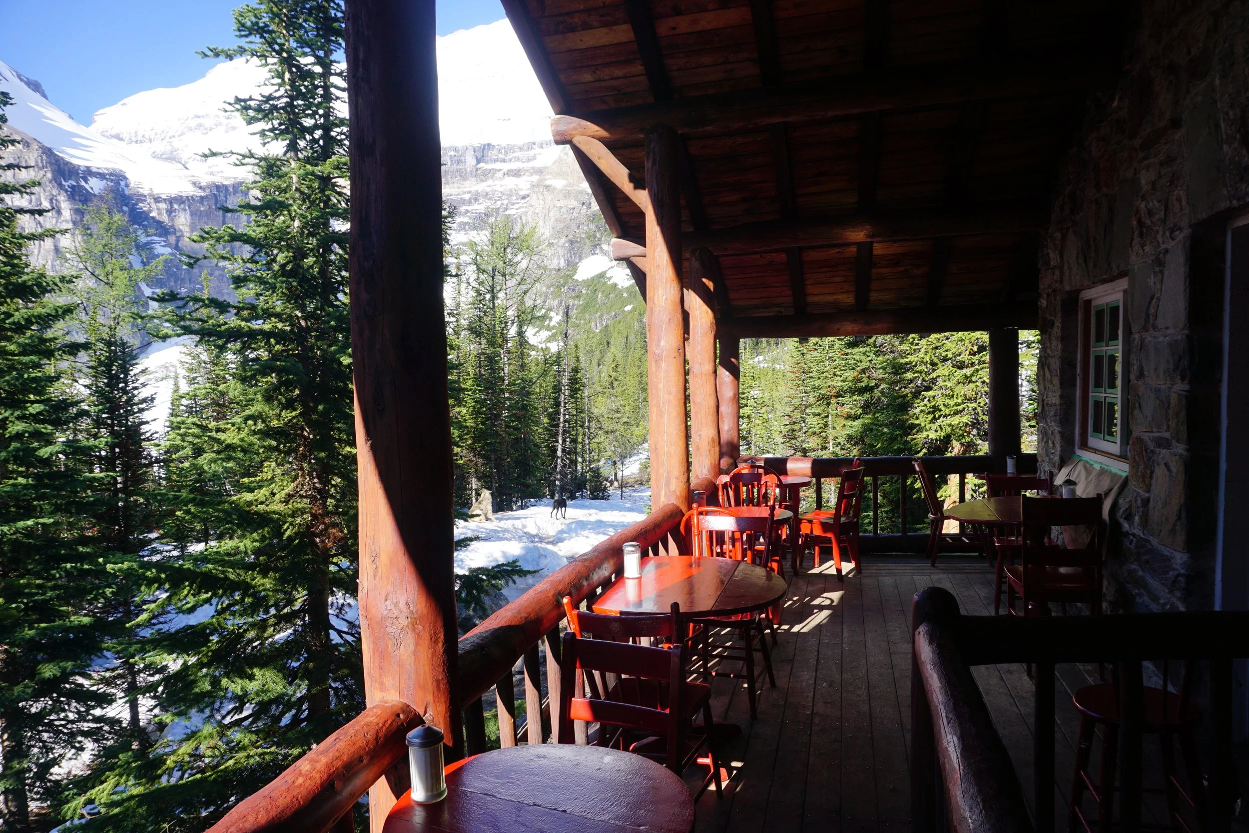 Plain of Six Glaciers Teahouse