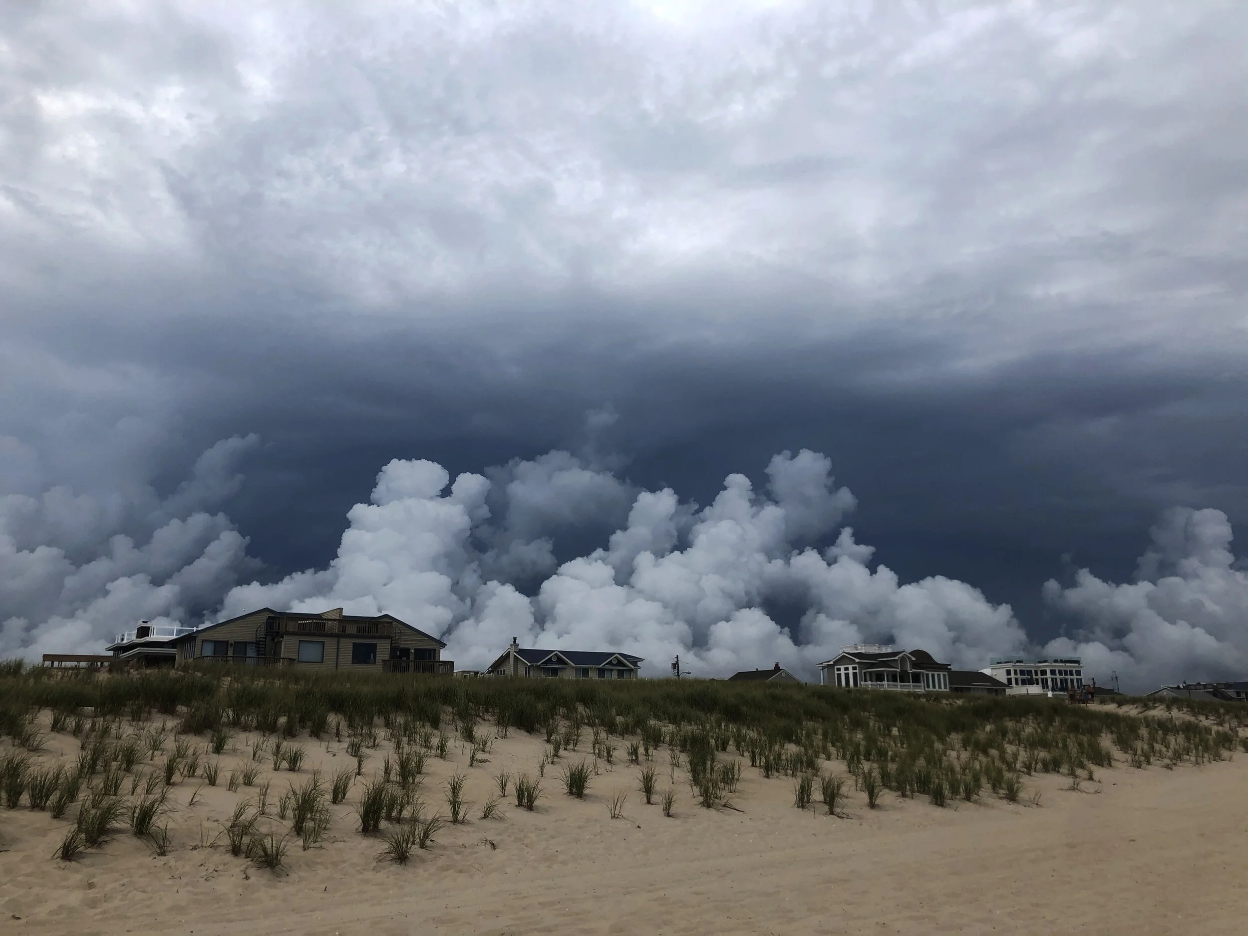 lbi.jpg