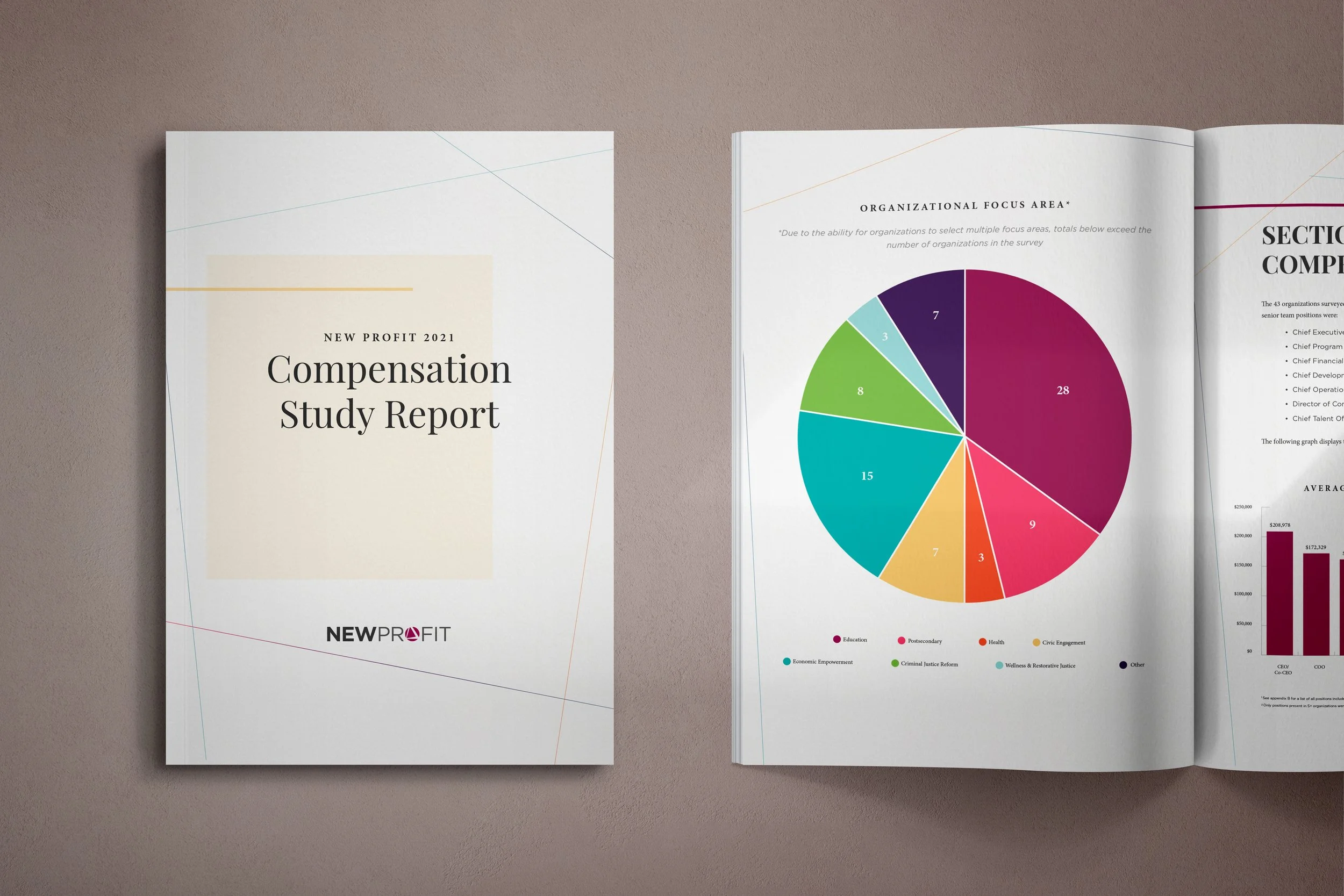 NPT compensation report mockup for site.jpg