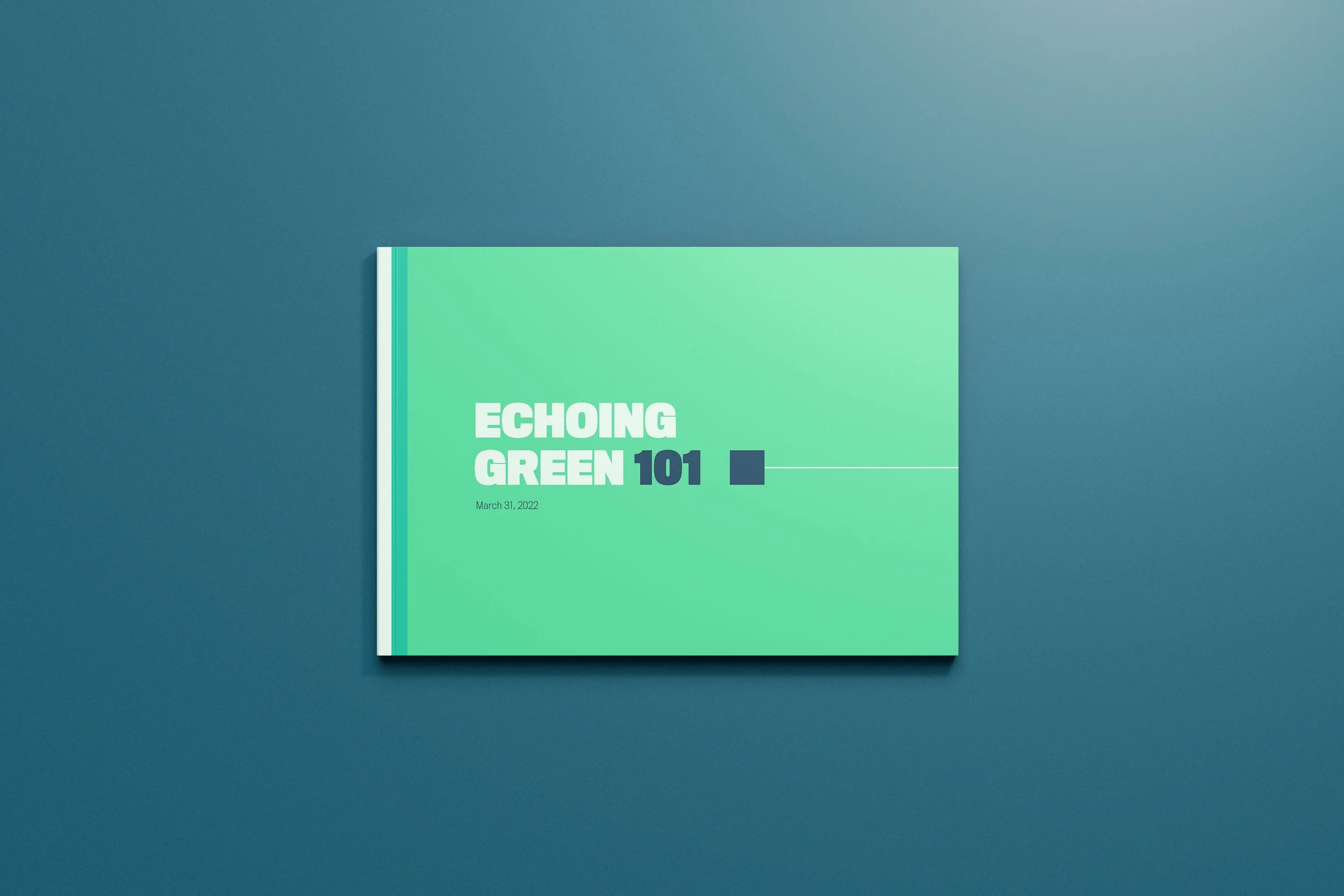 Echoing Green Re-Brand