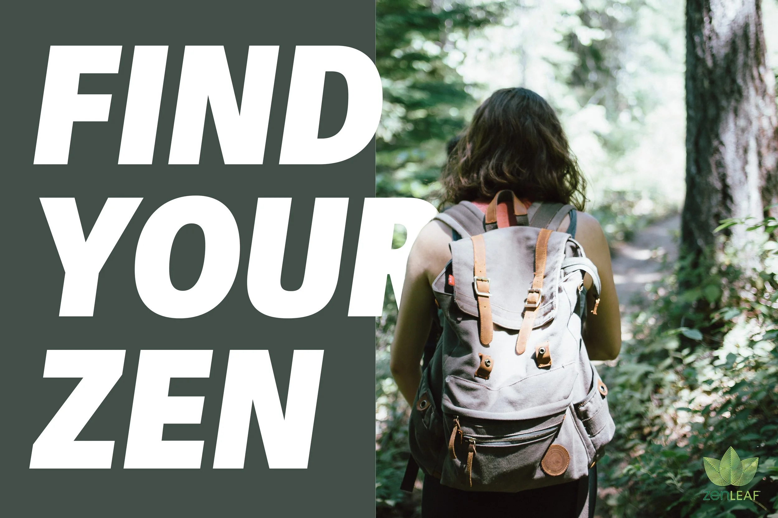 find your zen exploring.jpg