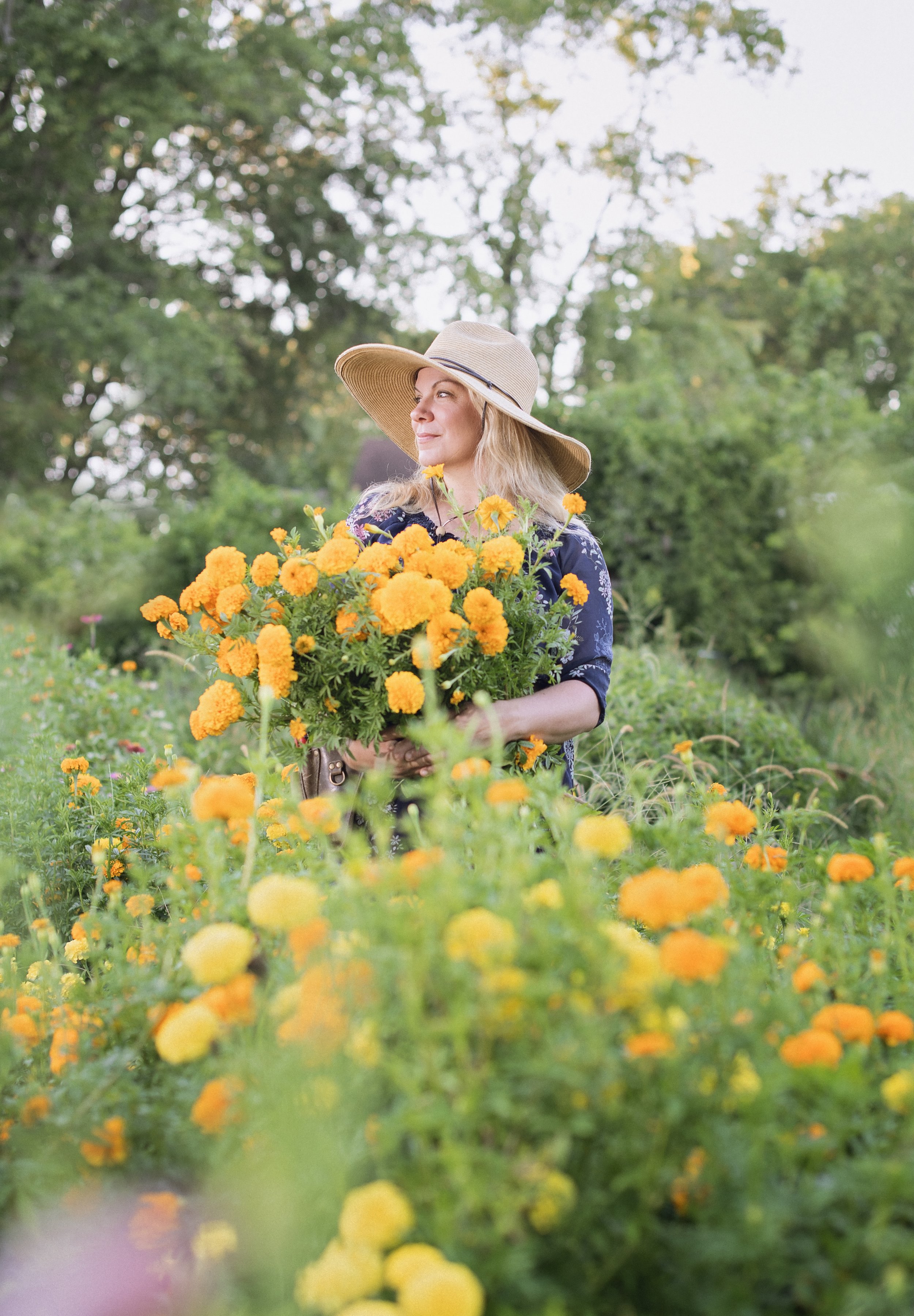 marigolds and looking into the distance.jpg