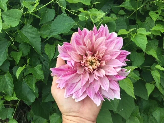 Simple Gifts Gift Card