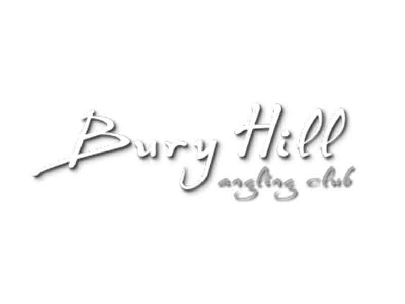 Bury Hill.jpg