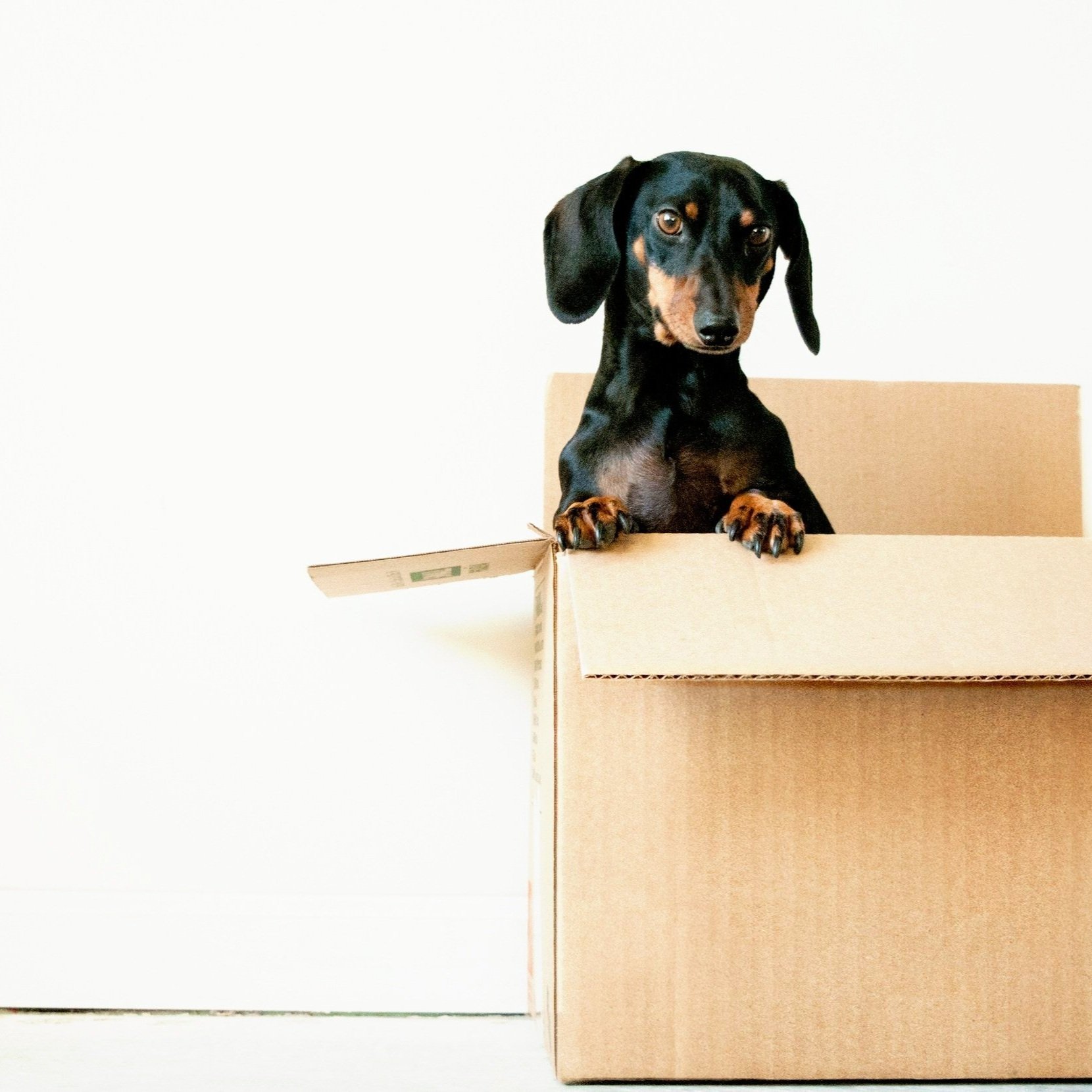 Seamless Move-ins Through Technology and Customer Support