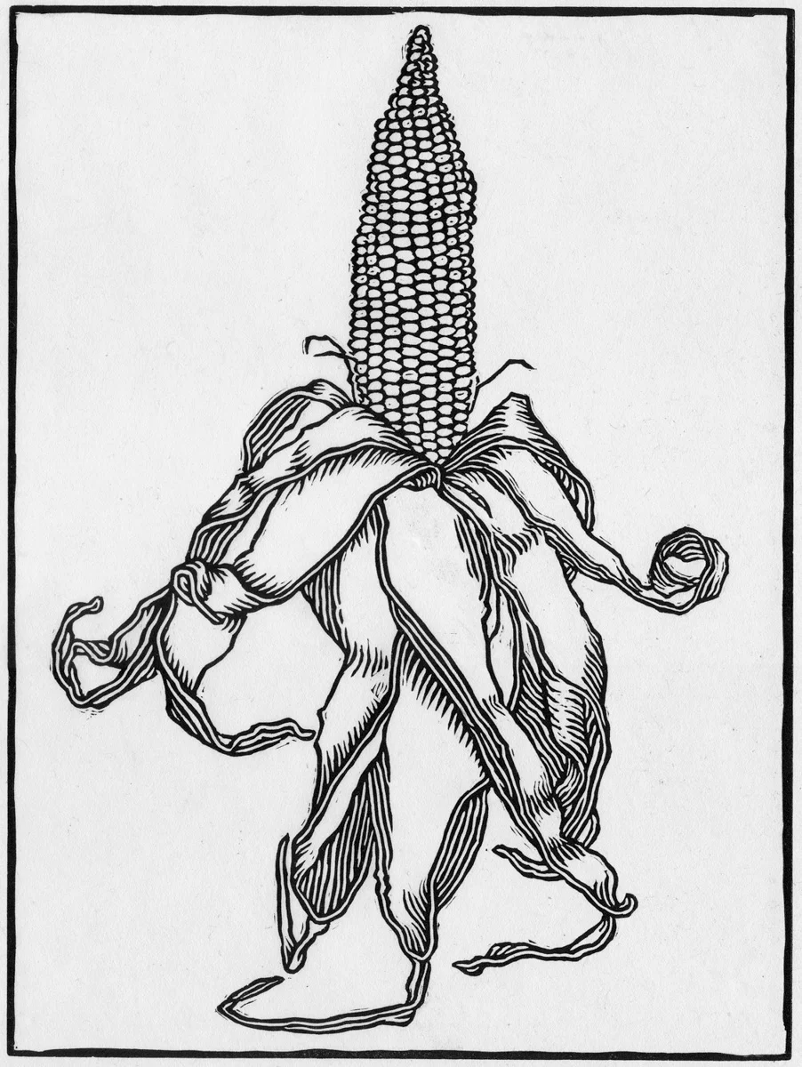 maize para eo.JPG