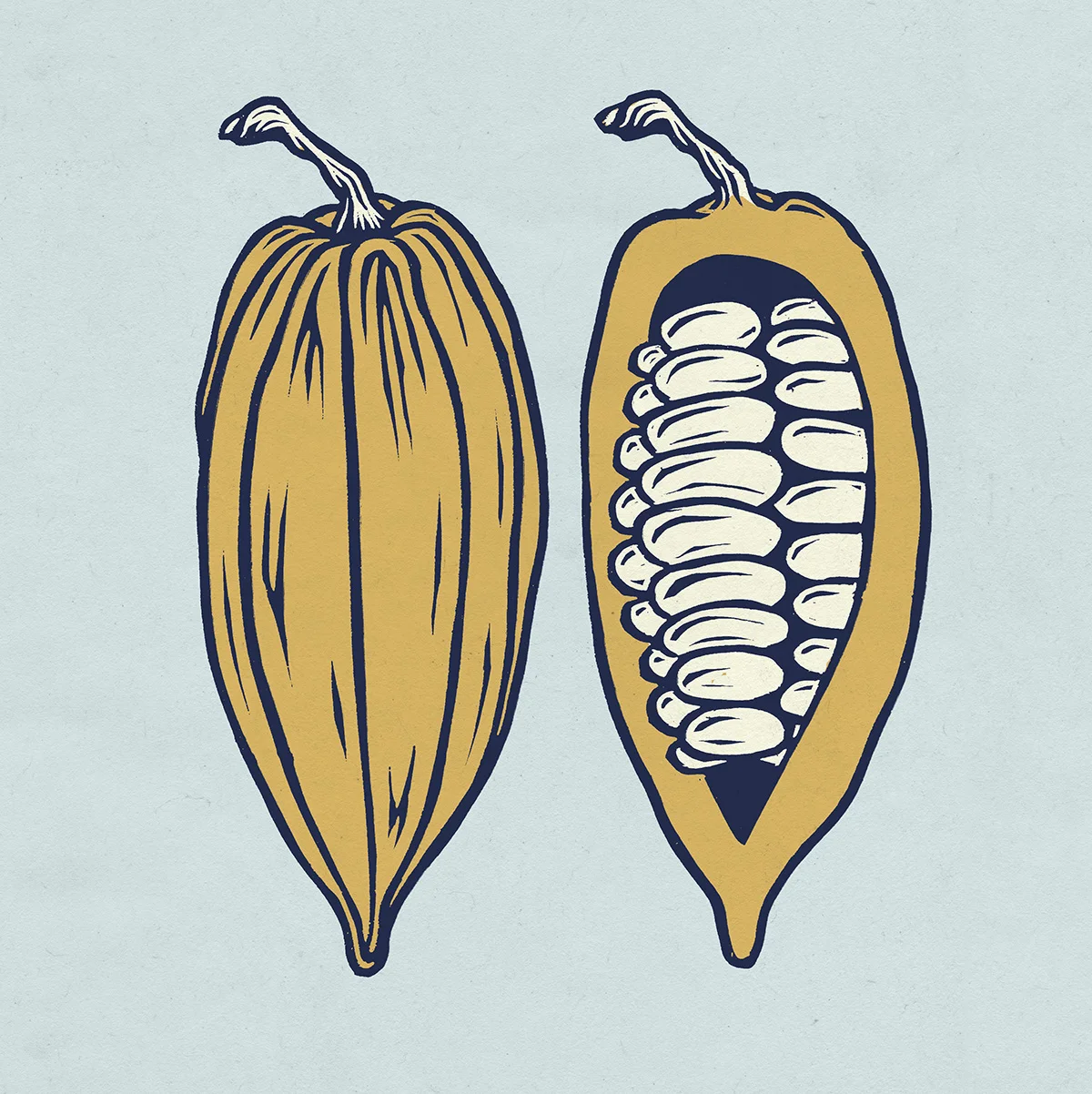 HUFF_STATIONSTAMP1_CACAO_A_COLOR.JPG
