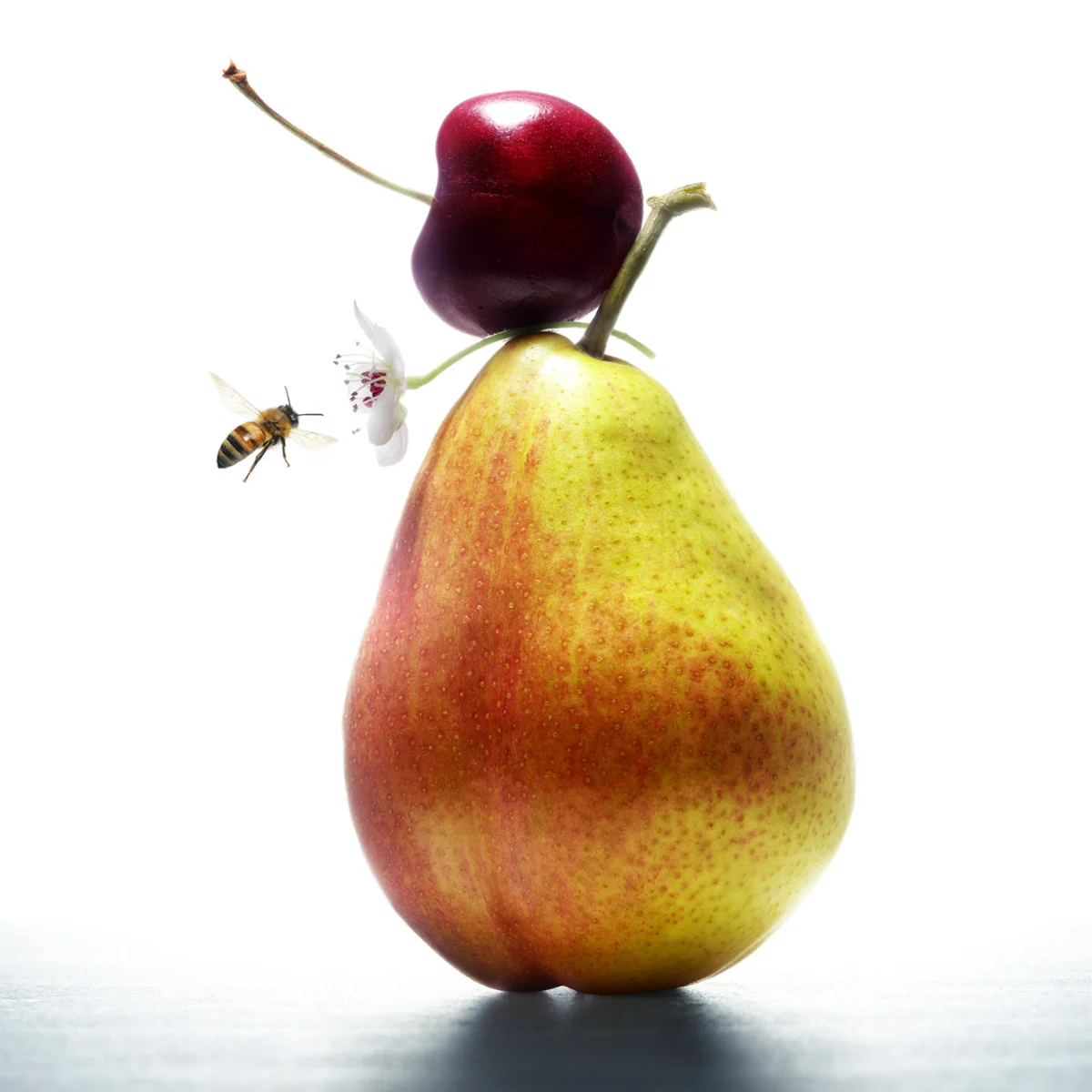 3707-01J HGD G7L HONEYBEE.JPG