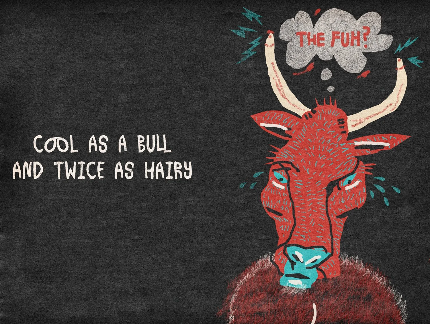 _0075_COOL AS A BULL.JPG