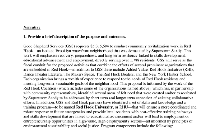 SSBG Narrative September 2013