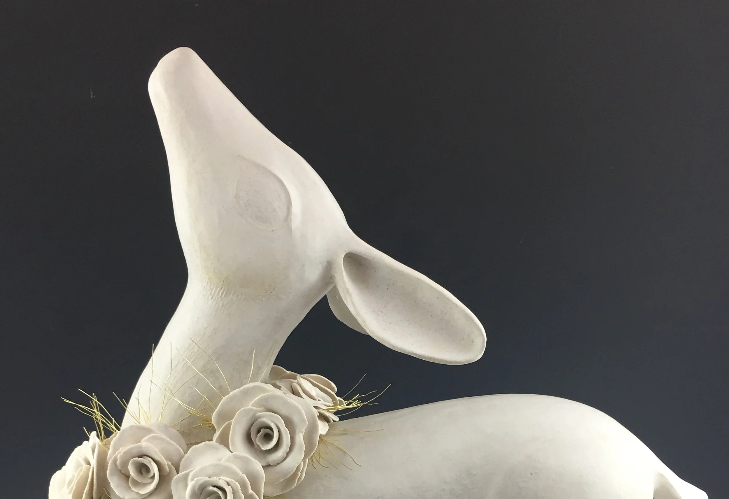 Singing the Animal, Singing the Earth