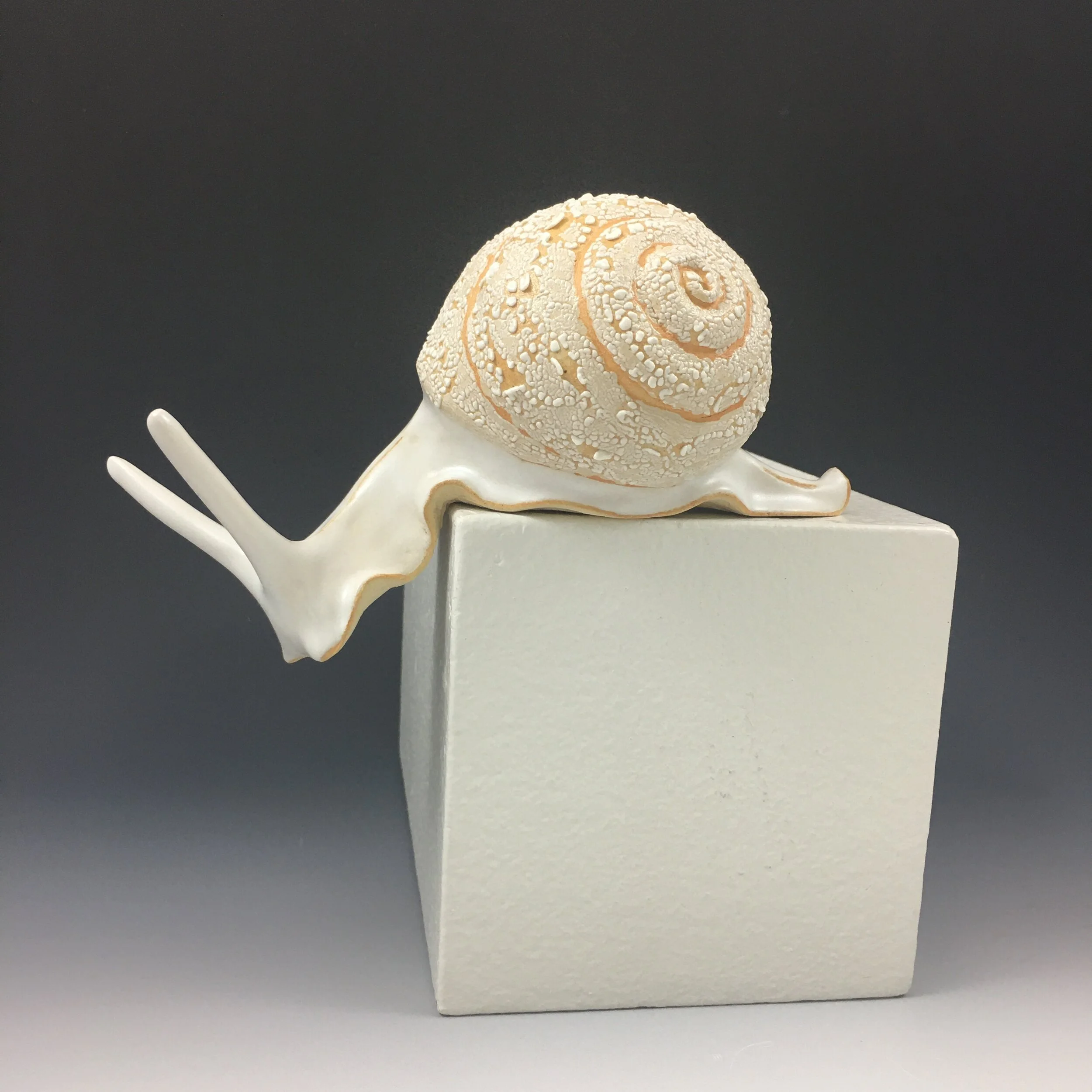 ShellyFredenberg_Left Leaning Snail.JPG