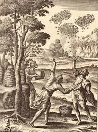 history of bees.jpg