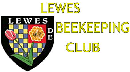 Lewes Bees