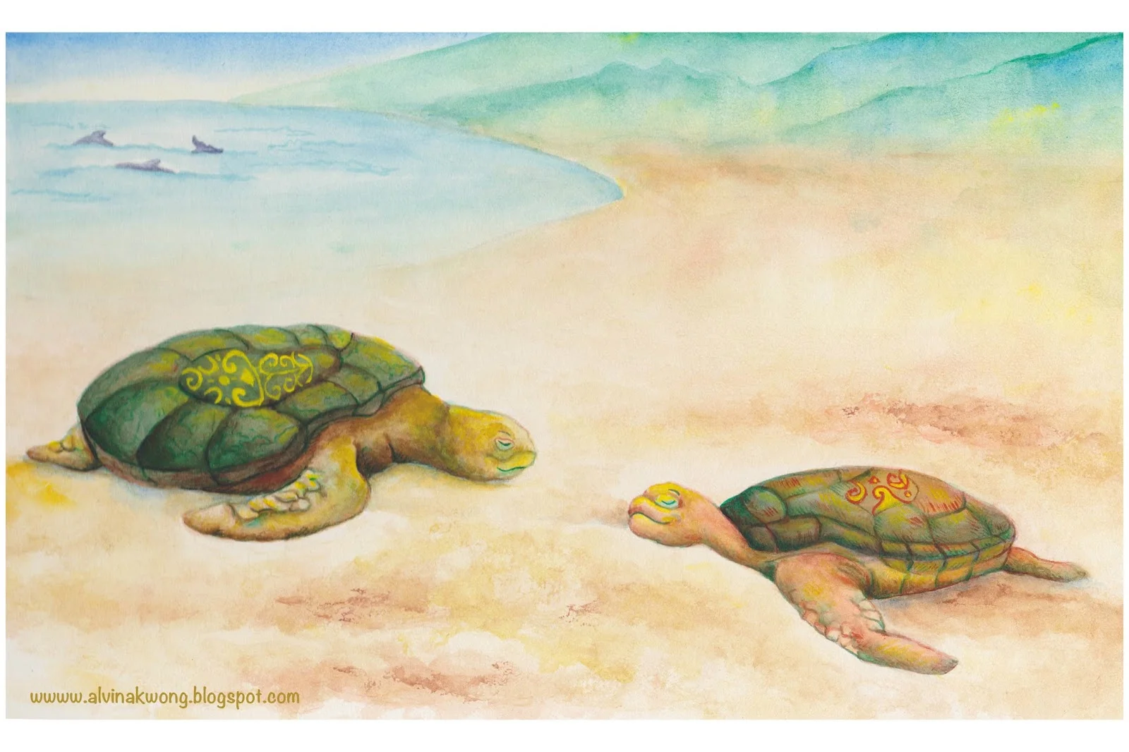 turtles web.jpg