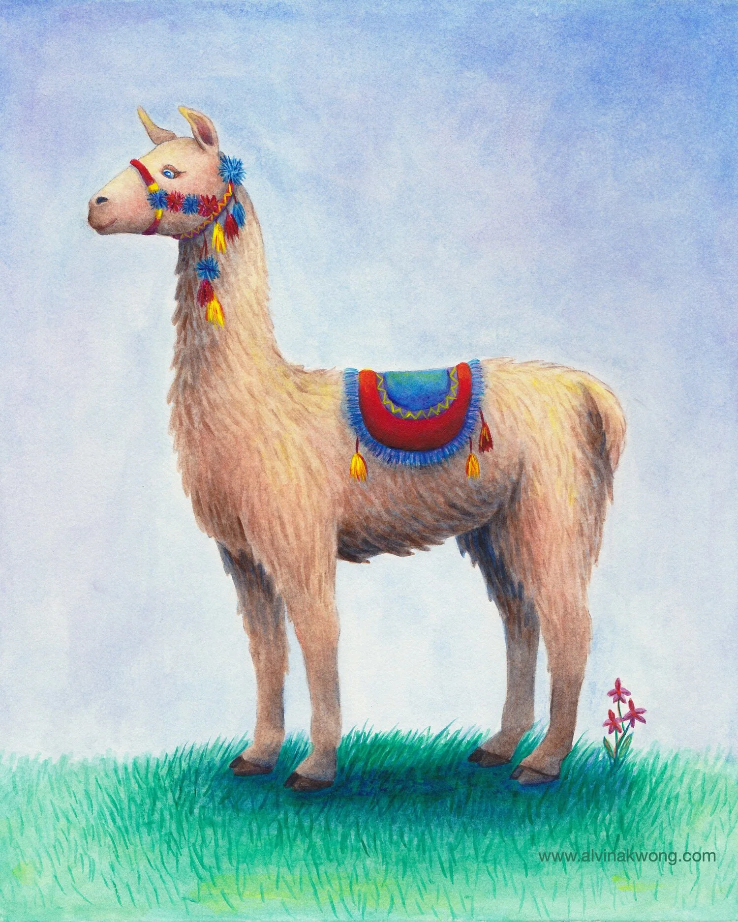 Llama Peru