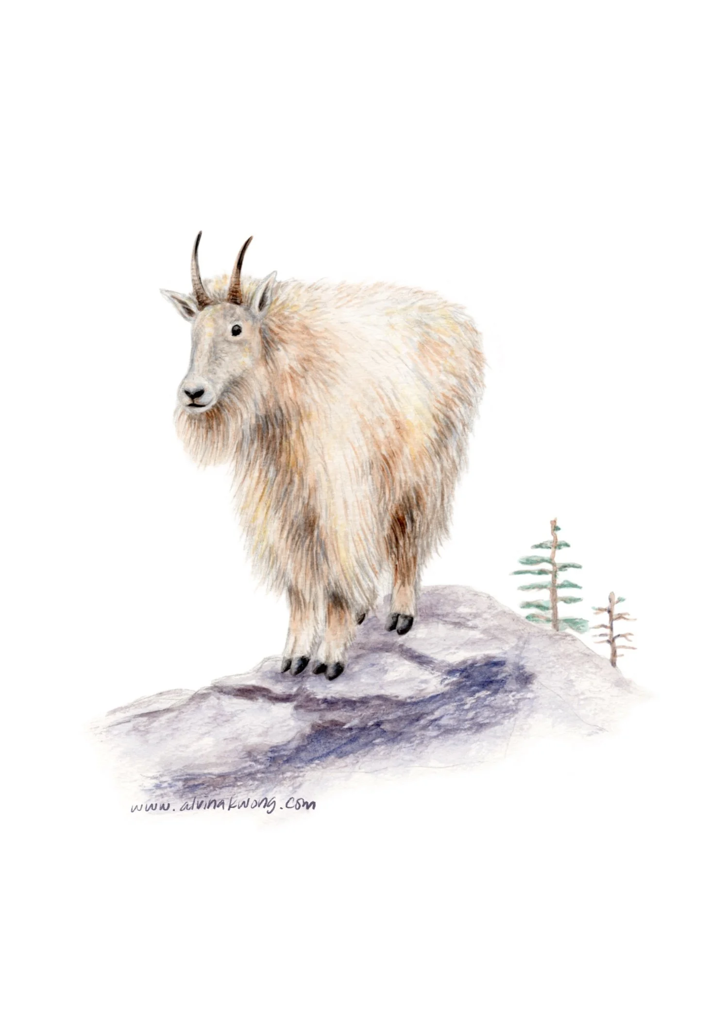 Mountain_Goat_Trees_Scan_Clean_WEB 2.jpg