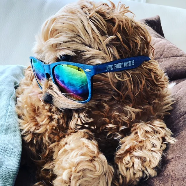 G glasses.JPG