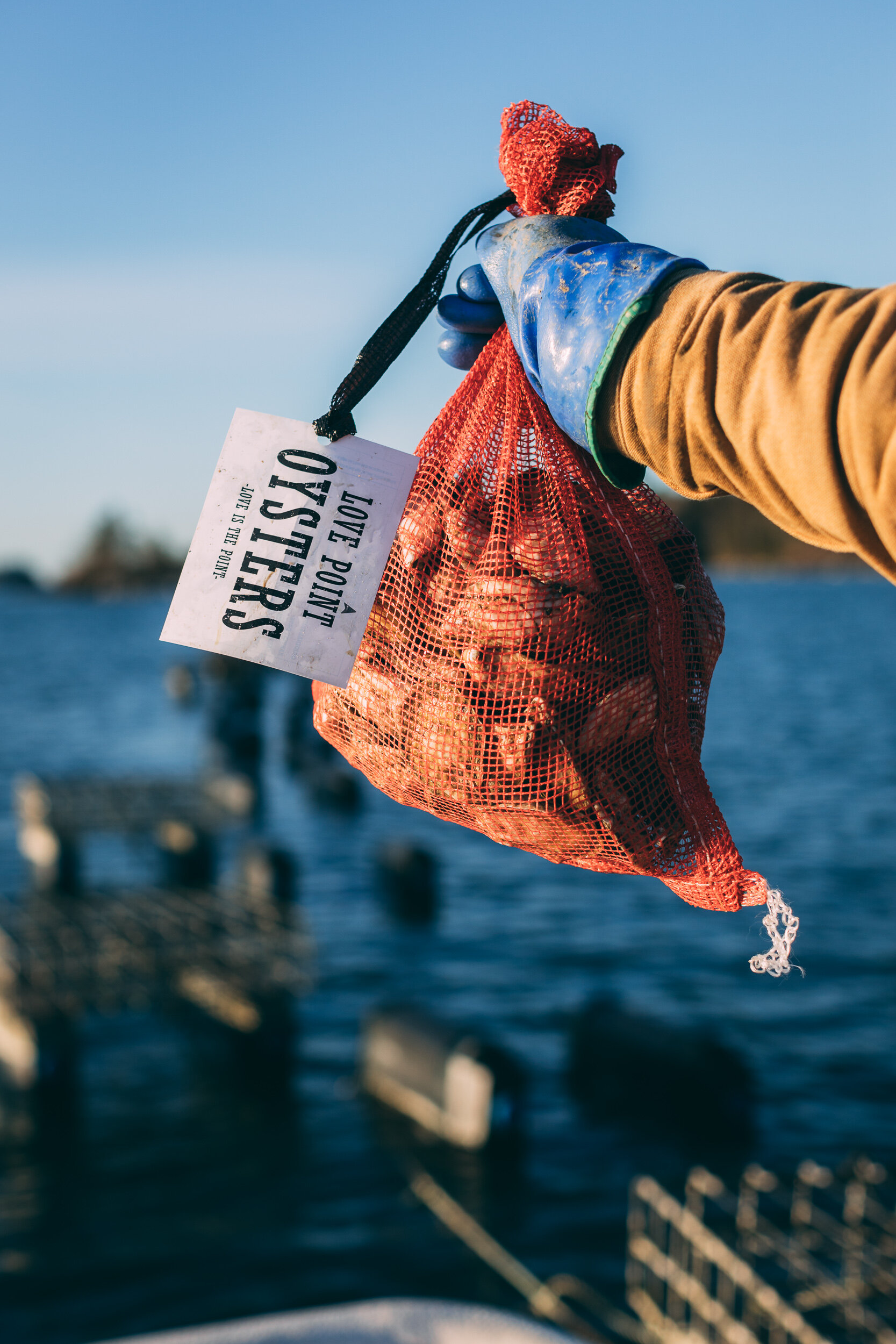 Love Point Oysters (1 of 1)-166.jpg