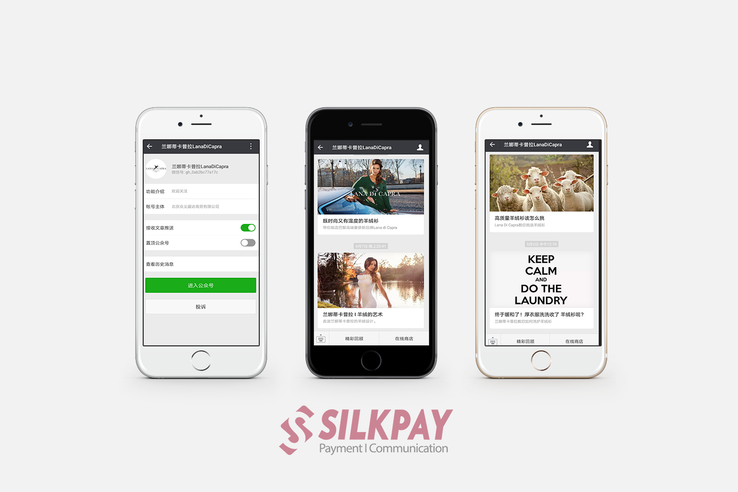 Un exemple de compte officiel Wechat réalisé par Silkpay