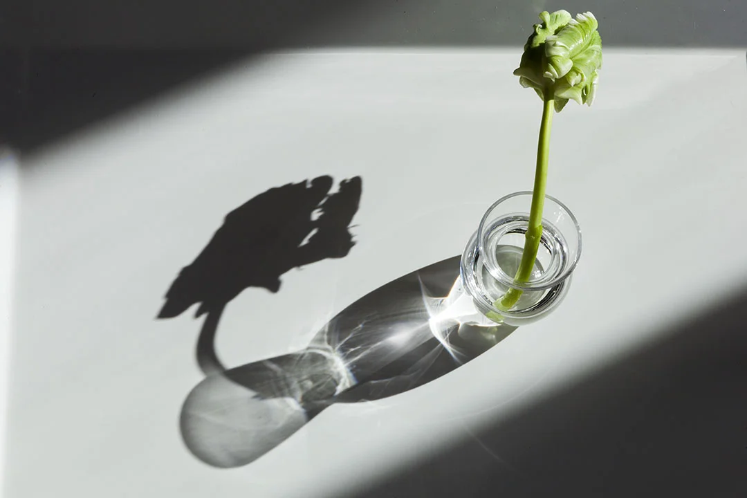Stilllife8.jpg