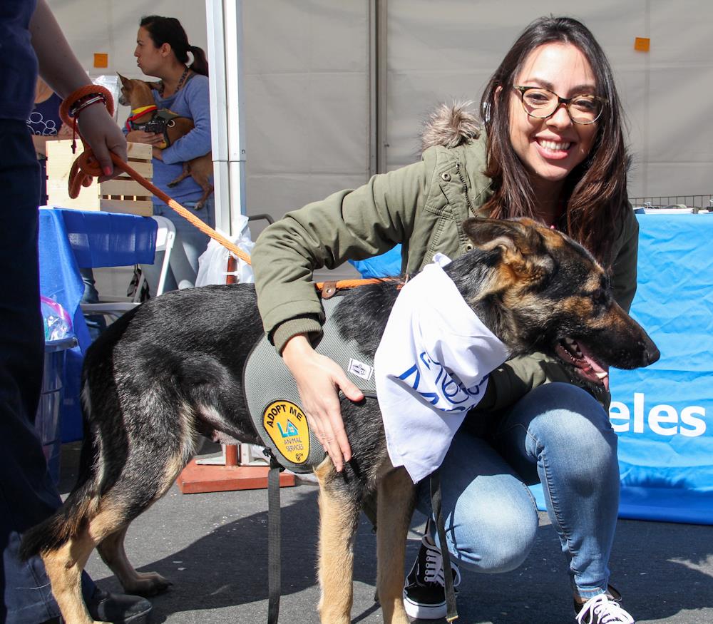 MCM nuestra avenida Betty w dog 2016.jpg