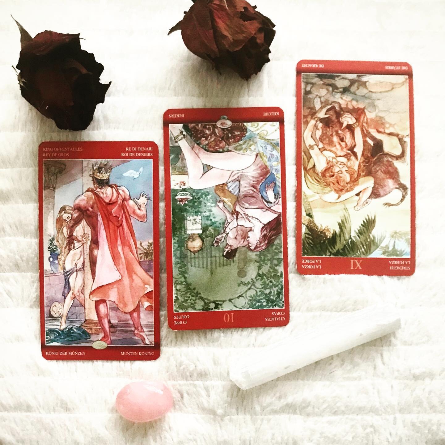 ✨Messages for Week Ahead✨
Slow and steady wins the race is the motto for the week. 
As we start the week with Moon entering the dutiful and responsible sign of Capricorn, we feel like we have to put aside some of our fun time and focus on the serious