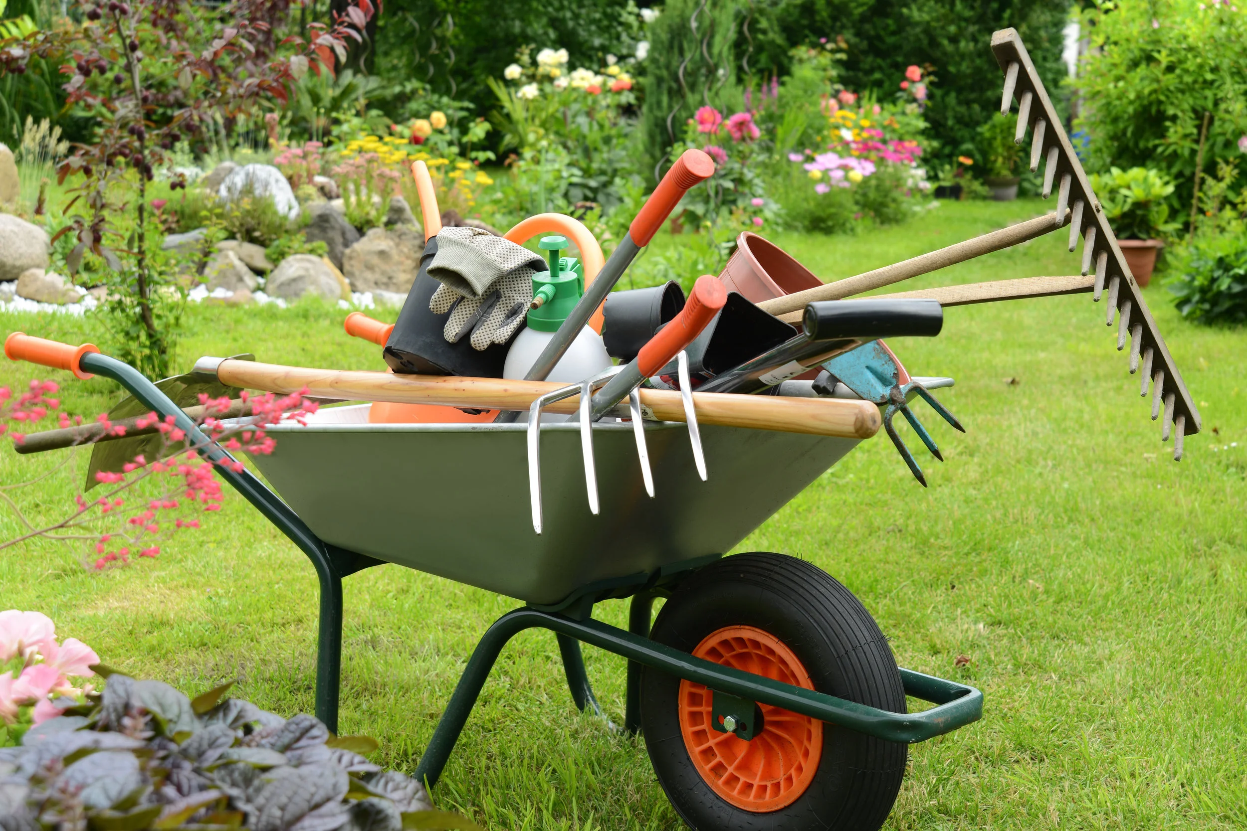 5 Essential Lawn Care Services for the Spring in Highland Park, IL