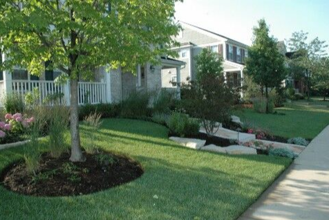 How Landscaping Services Can Help You Get Green, Fertilized Grass in Highland Park, IL