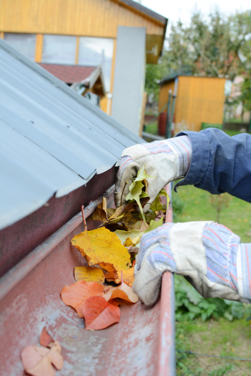 Why You Should Invest in Professional Gutter Cleaning in Buffalo Grove and Winnetka IL