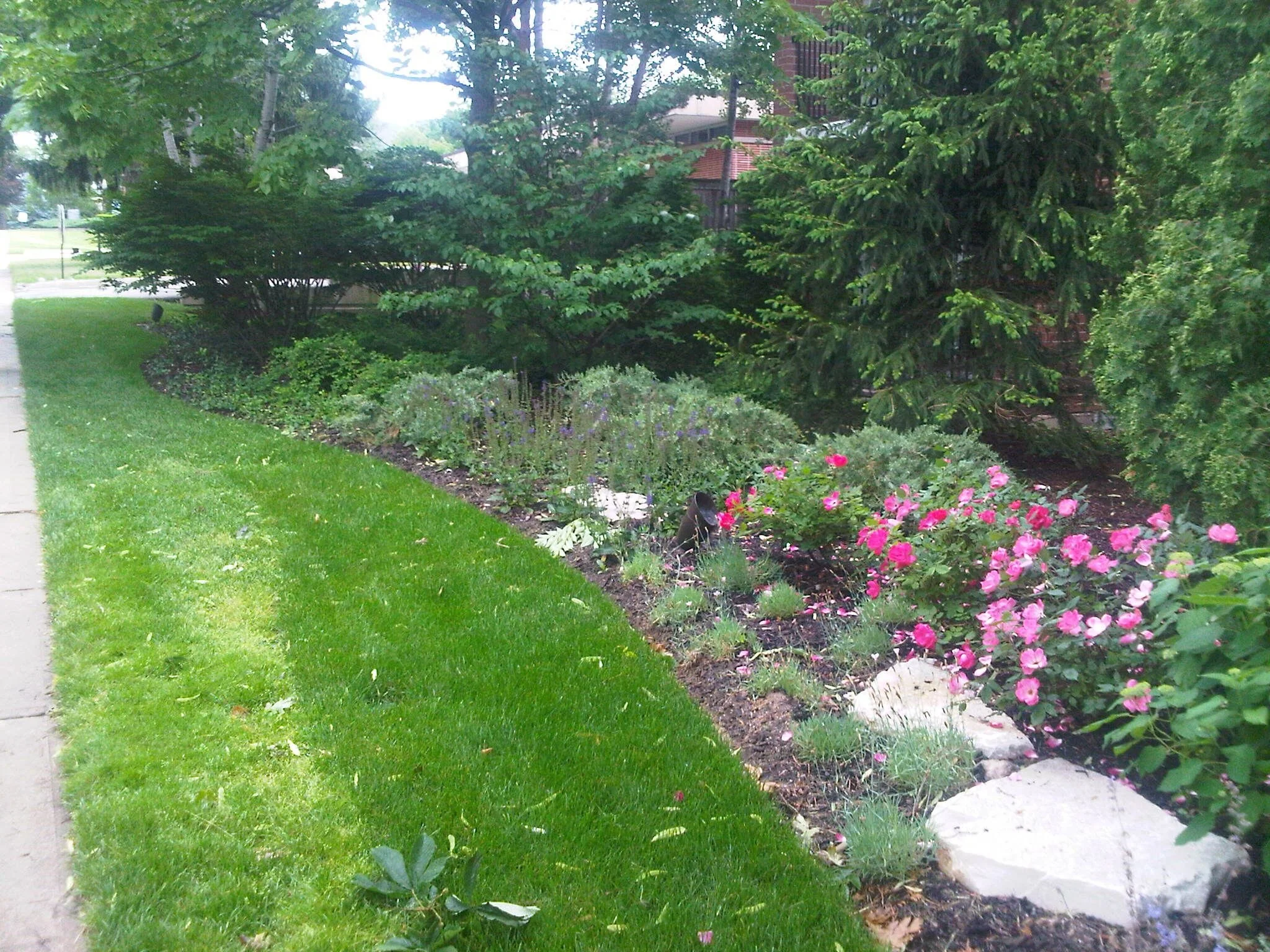 It’s Not Too Late to Switch Lawn Care Service Providers in Glenview and Northbrook, IL