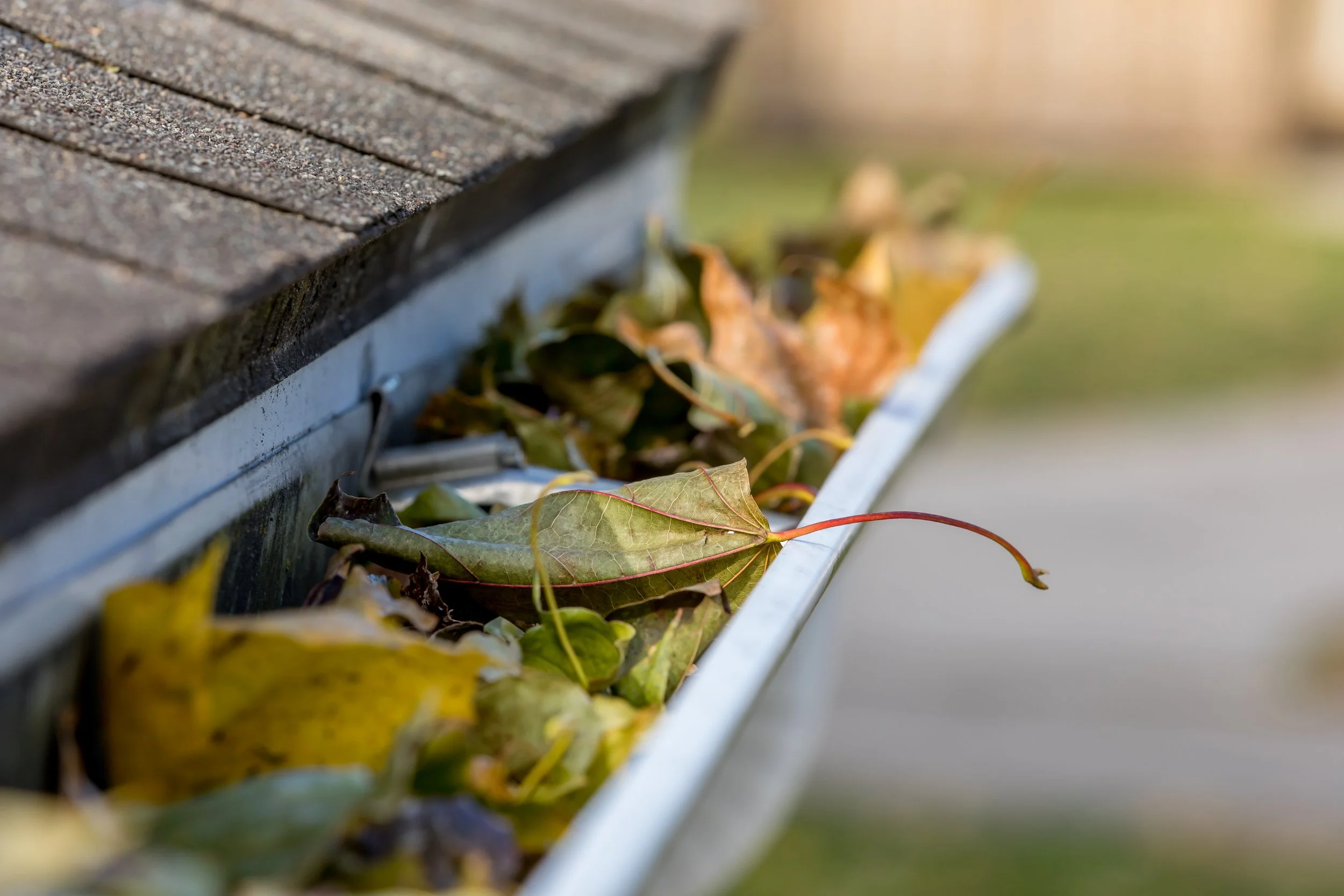 6 Reasons Why Gutter Cleaning Is Essential for Protecting Your Home in Highland Park and Buffalo Grove, IL