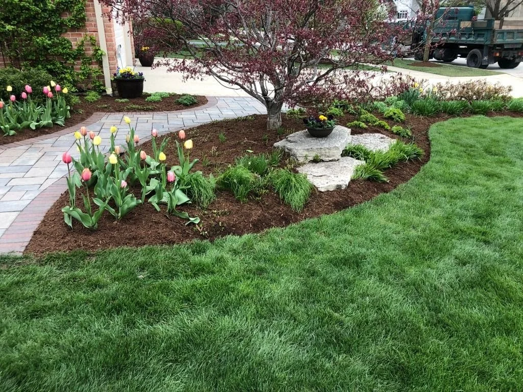 How Often Do Landscape Contractors Recommend Weeding and Pruning in the Winnetka and Highland Parks, IL Areas