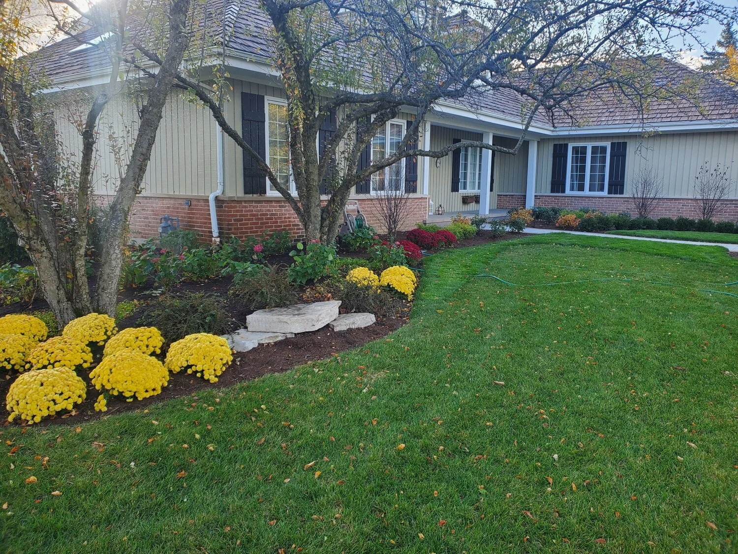 How Landscaping Companies Help You See Your Property's Potential in the Glenview and Lake Forest, IL Areas