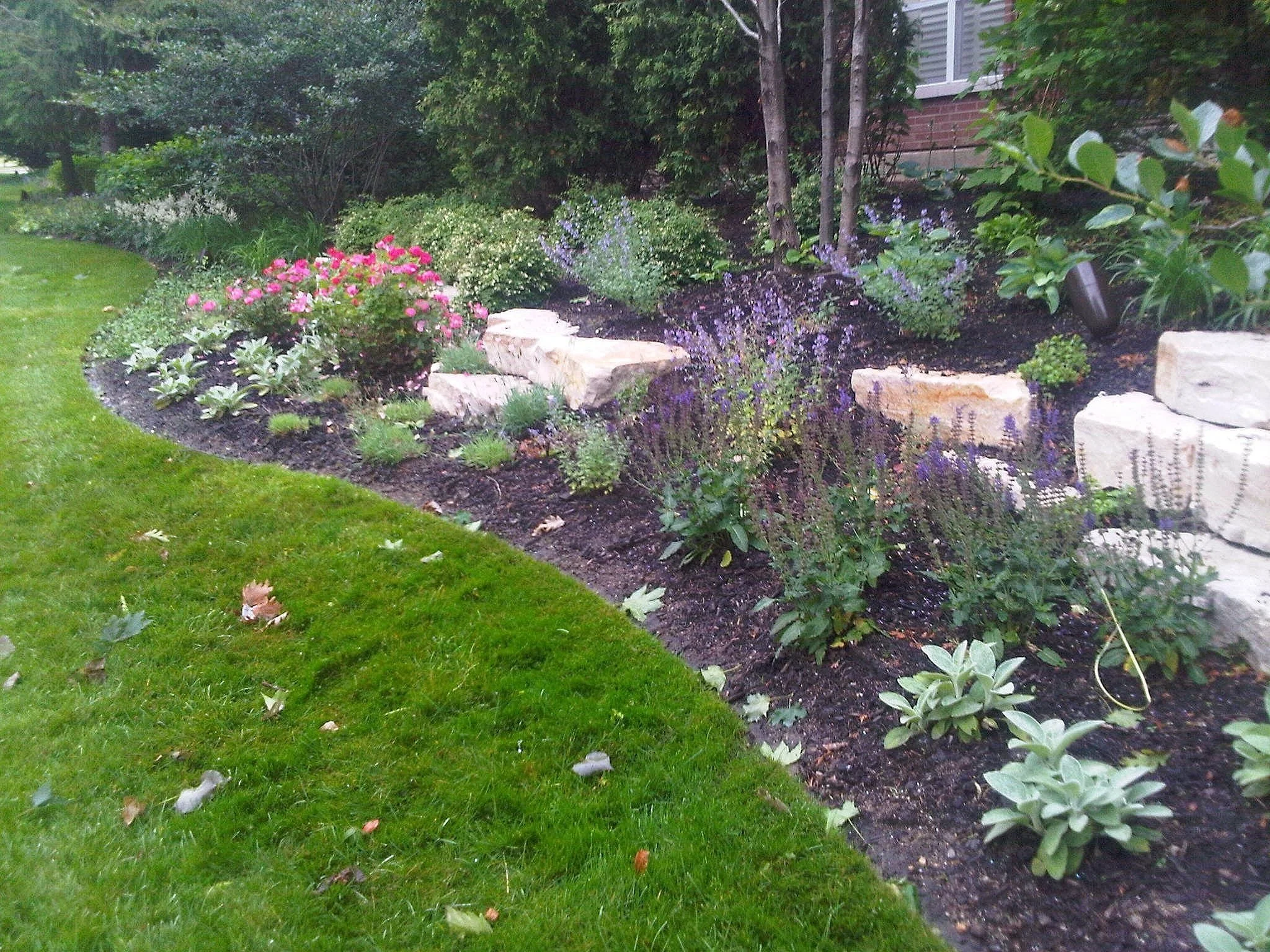 How Landscape Contractors Can Keep Your Greenery Healthy and Beautiful in Lake Forest and Glenview, IL